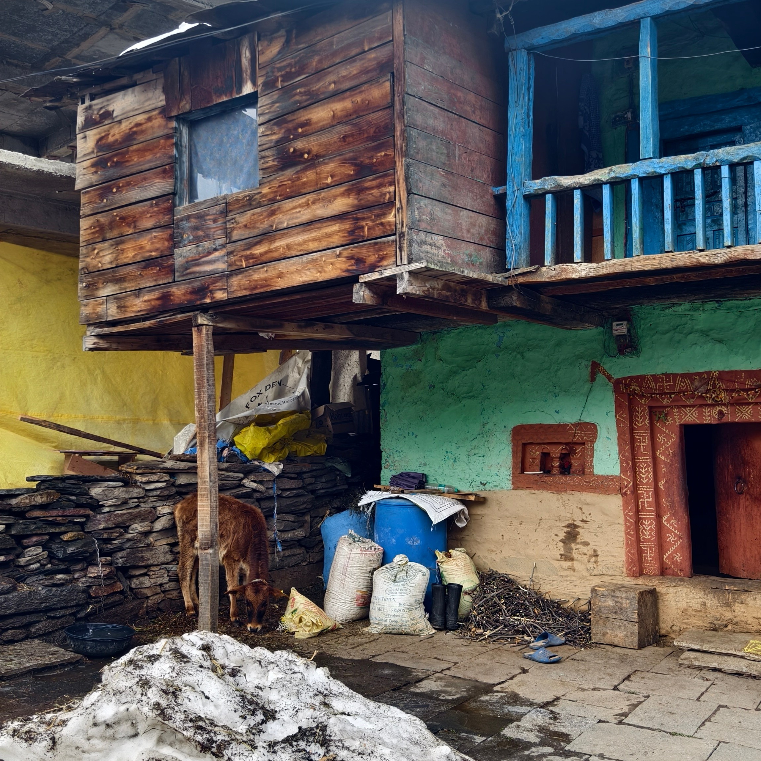 Путешествие в Долину Богов — Манали. Айгуль Лотфуллина. #АйгульТВ. Фотограф в Адлере и Сочи, Красной Поляне