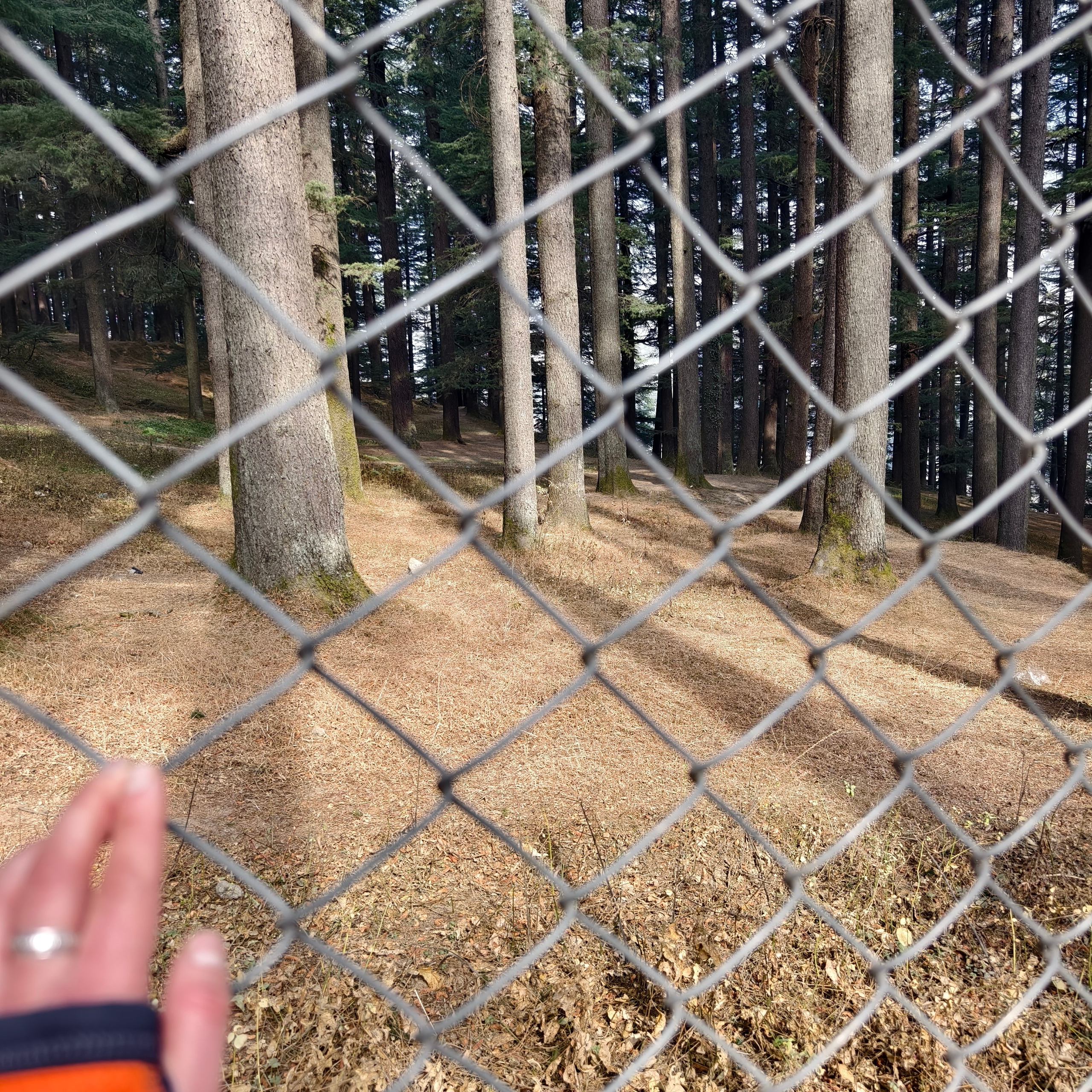 Путешествие в Долину Богов — Манали. Айгуль Лотфуллина. #АйгульТВ. Фотограф в Адлере и Сочи, Красной Поляне