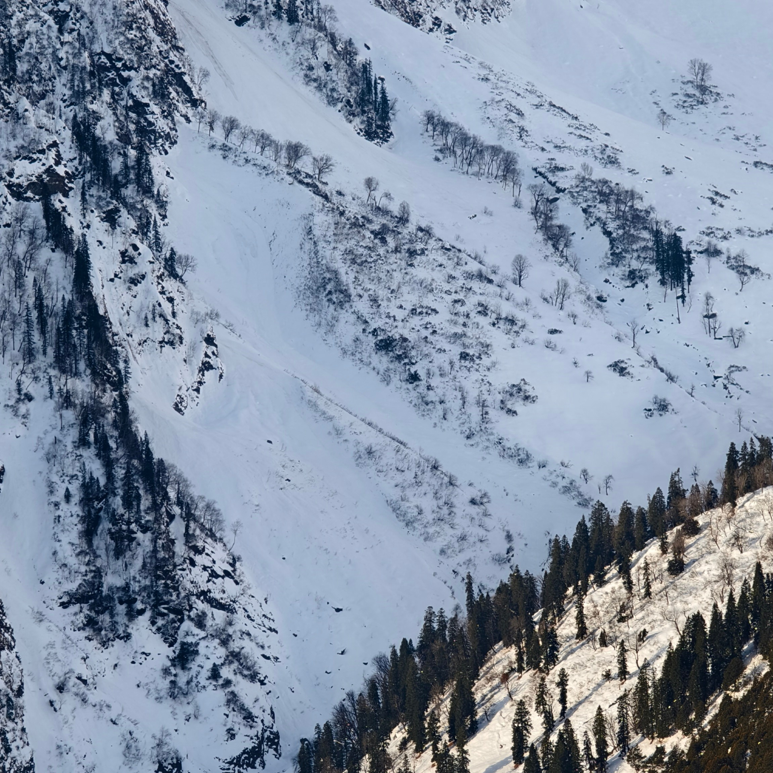 Путешествие в Долину Богов — Манали. Айгуль Лотфуллина. #АйгульТВ. Фотограф в Адлере и Сочи, Красной Поляне