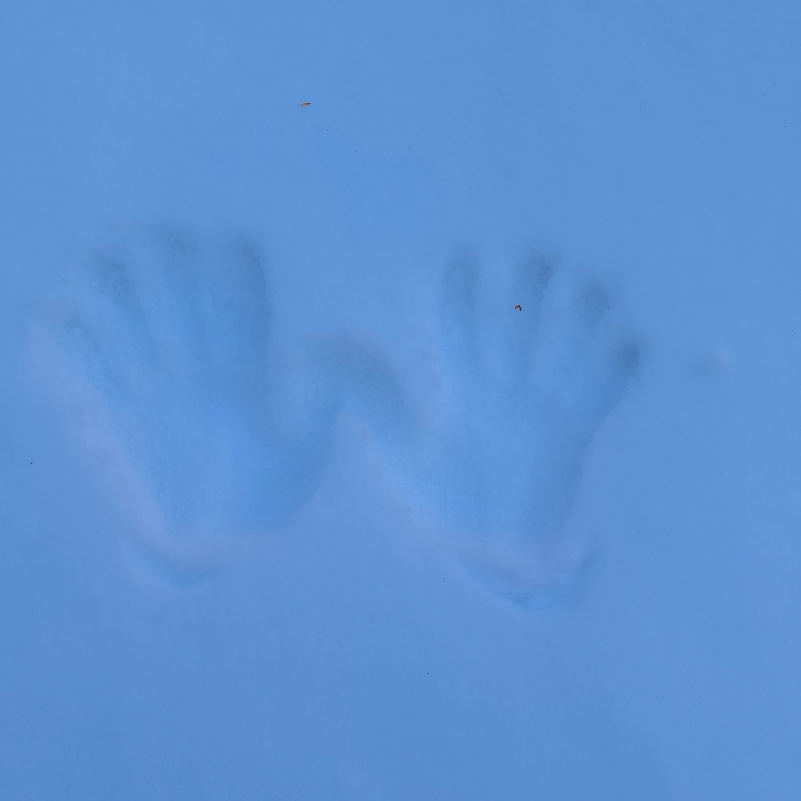 Путешествие в Долину Богов — Манали. Айгуль Лотфуллина. #АйгульТВ. Фотограф в Адлере и Сочи, Красной Поляне