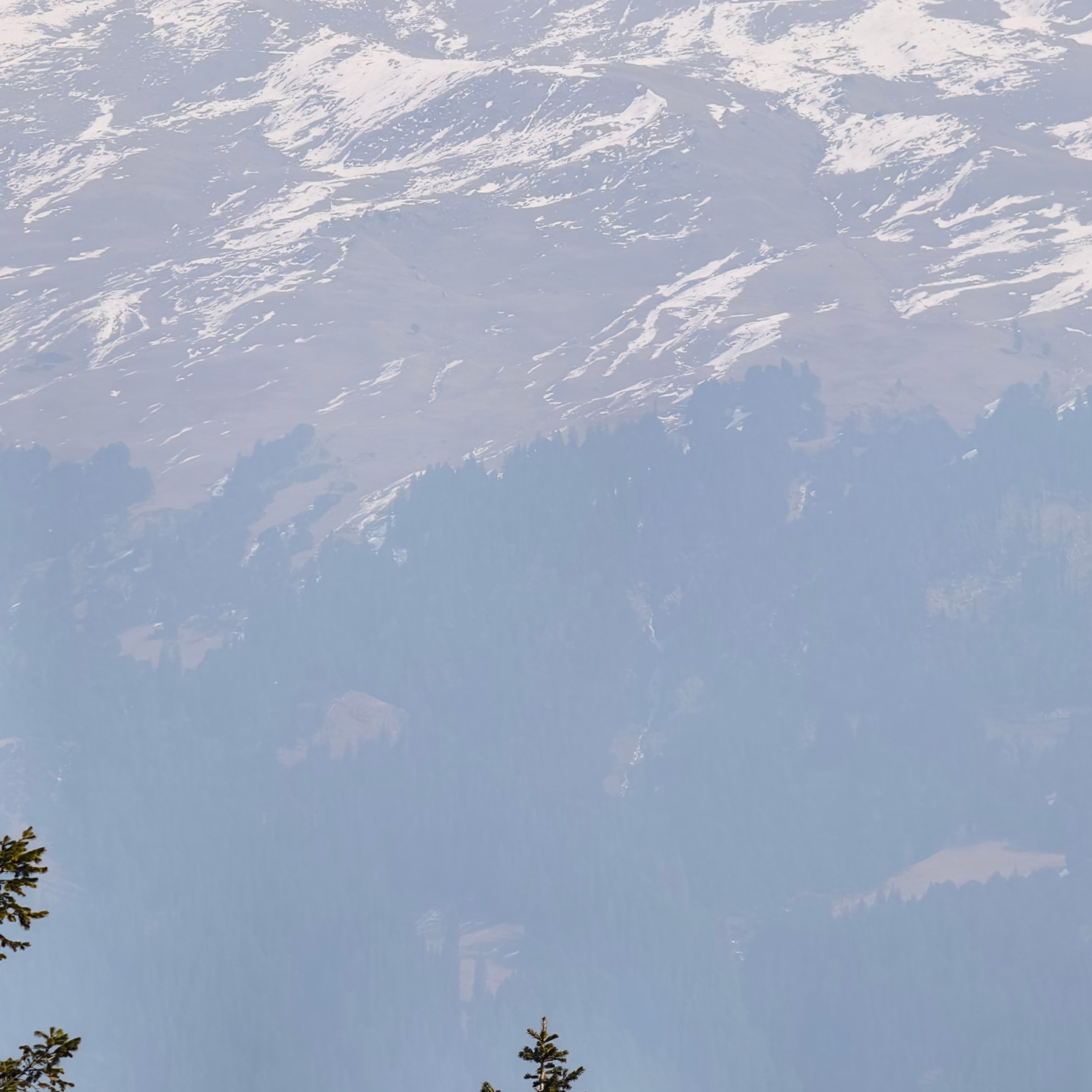 Путешествие в Долину Богов — Манали. Айгуль Лотфуллина. #АйгульТВ. Фотограф в Адлере и Сочи, Красной Поляне