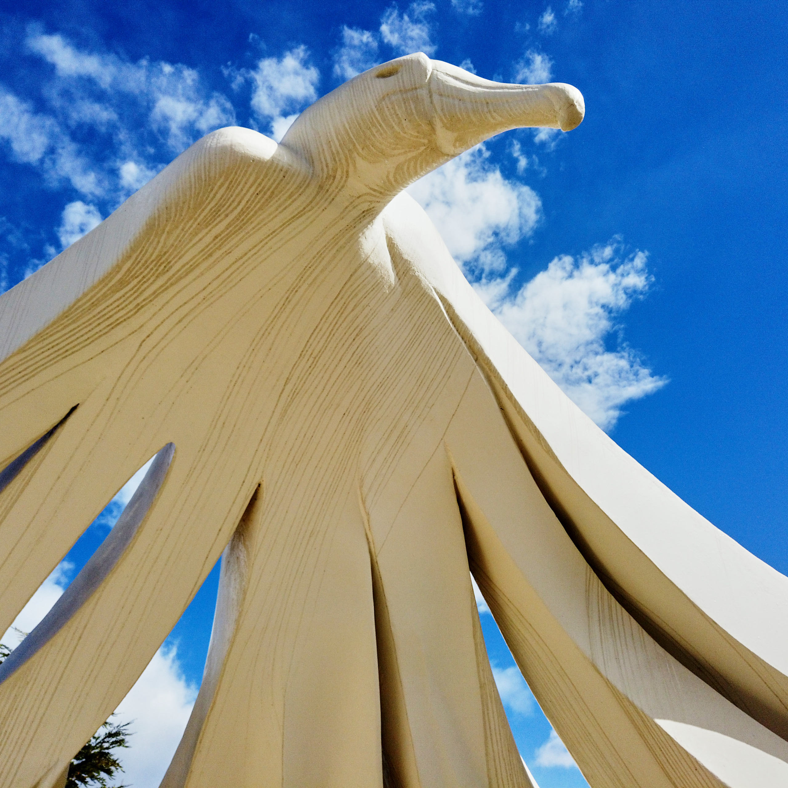 Патагония 2019. Айгуль Лотфуллина. #АйгульТВ. Фотограф в Адлере и Сочи, Красной Поляне