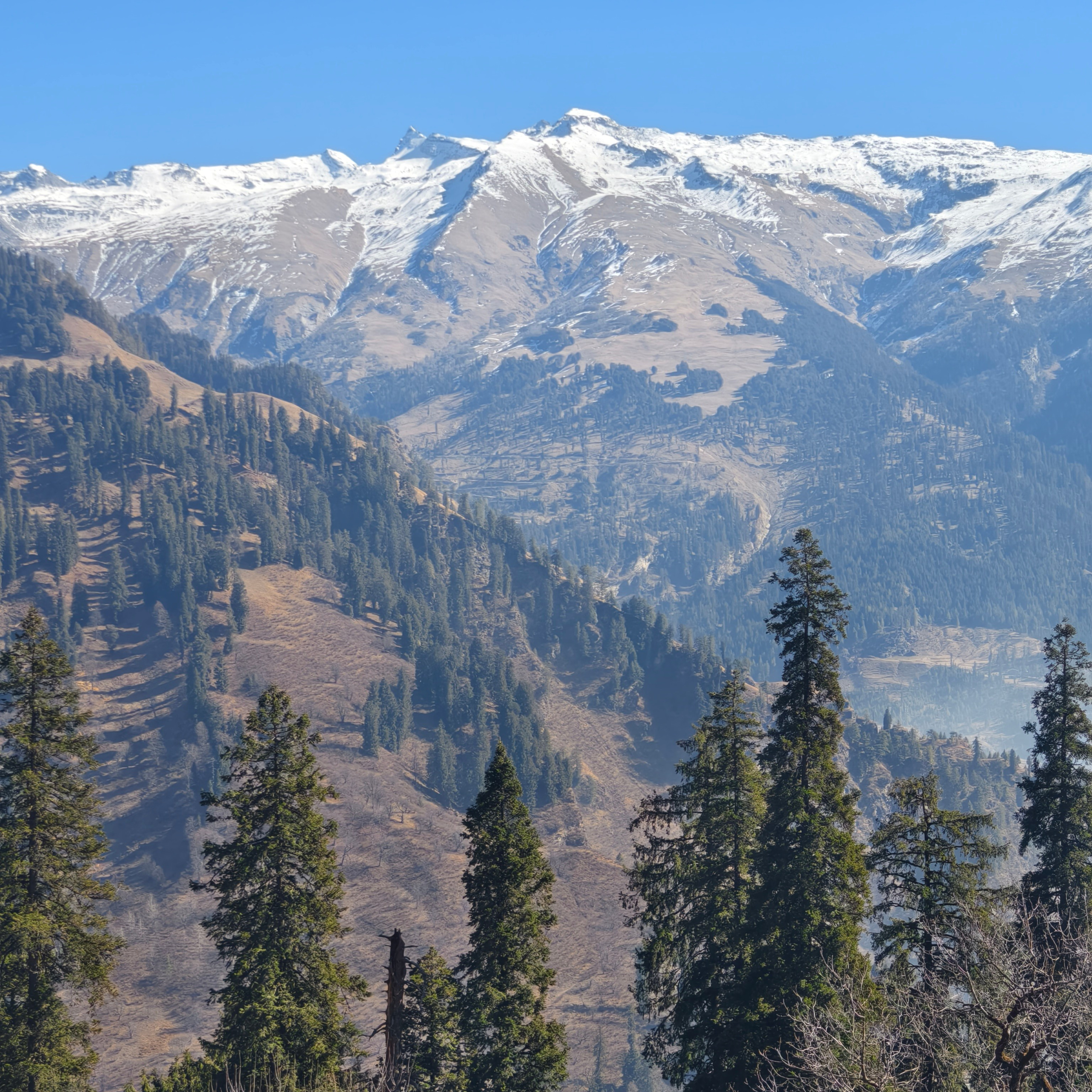 Путешествие в Долину Богов — Манали. Айгуль Лотфуллина. #АйгульТВ. Фотограф в Адлере и Сочи, Красной Поляне
