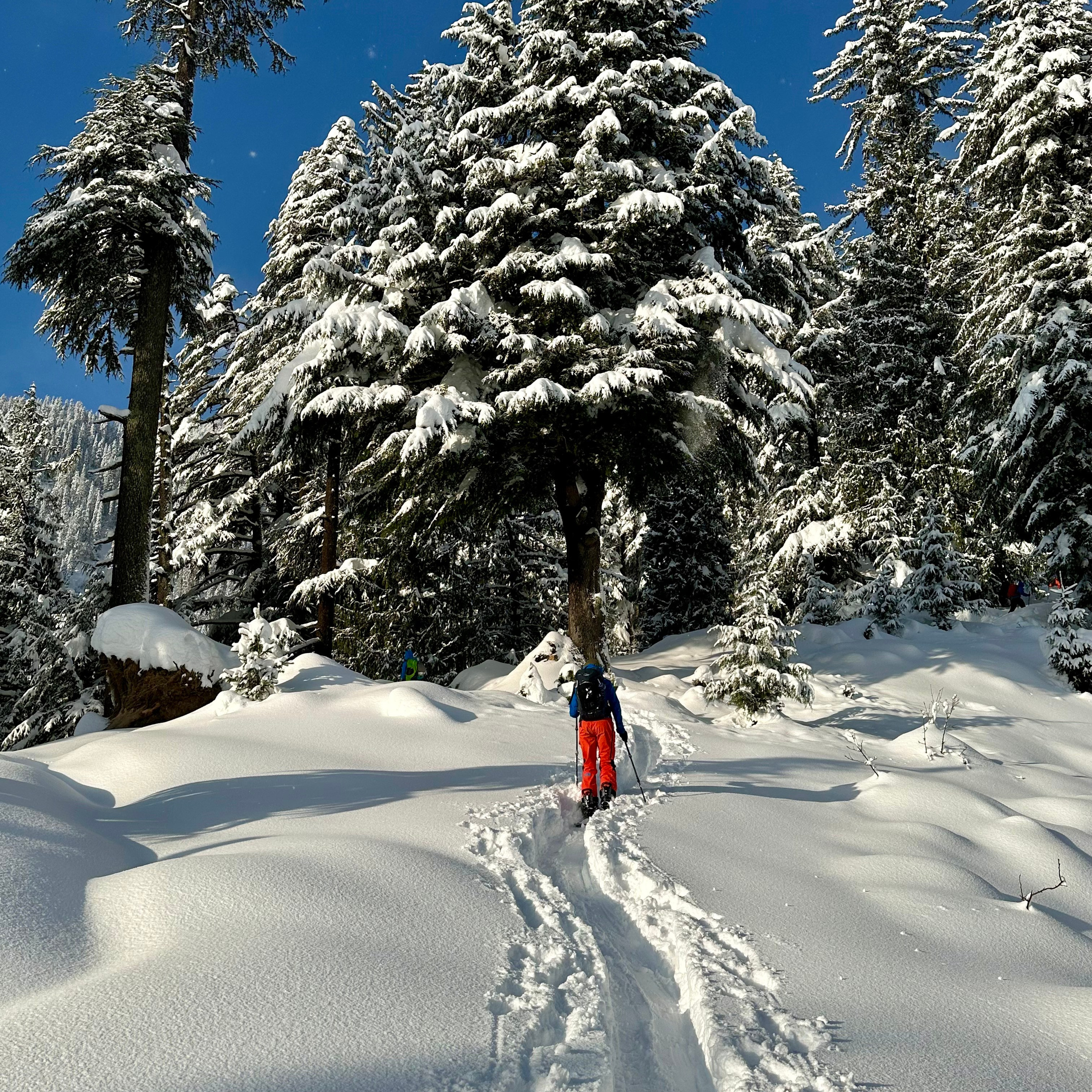 Путешествие в Долину Богов — Манали. Айгуль Лотфуллина. #АйгульТВ. Фотограф в Адлере и Сочи, Красной Поляне
