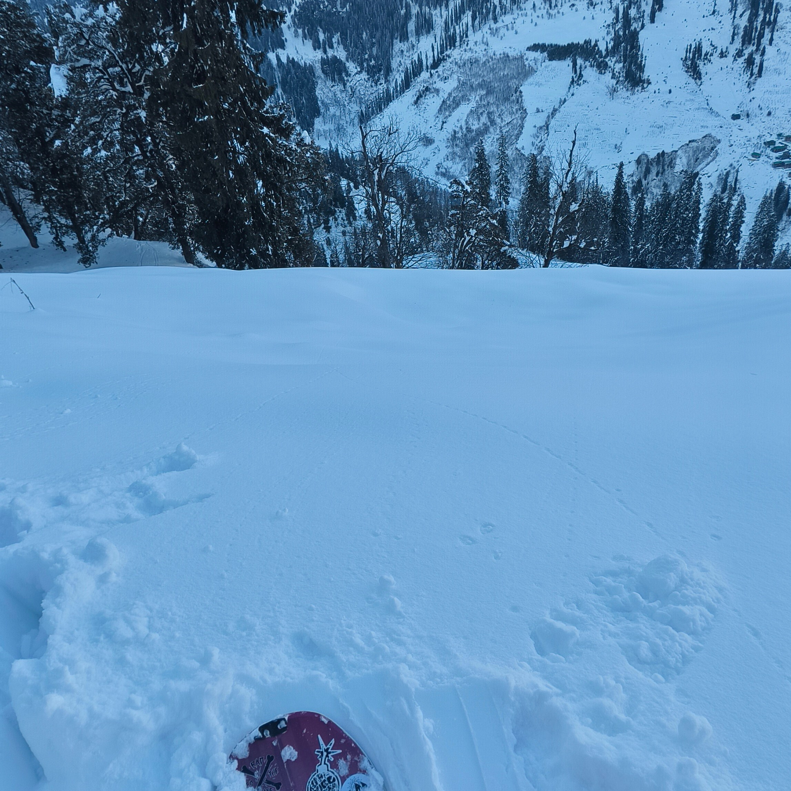 Путешествие в Долину Богов — Манали. Айгуль Лотфуллина. #АйгульТВ. Фотограф в Адлере и Сочи, Красной Поляне