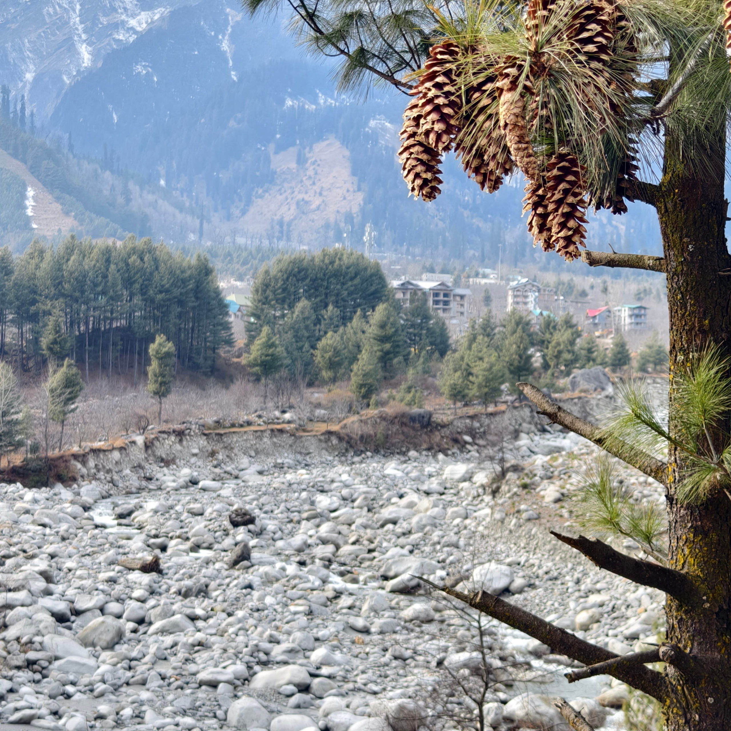 Путешествие в Долину Богов — Манали. Айгуль Лотфуллина. #АйгульТВ. Фотограф в Адлере и Сочи, Красной Поляне