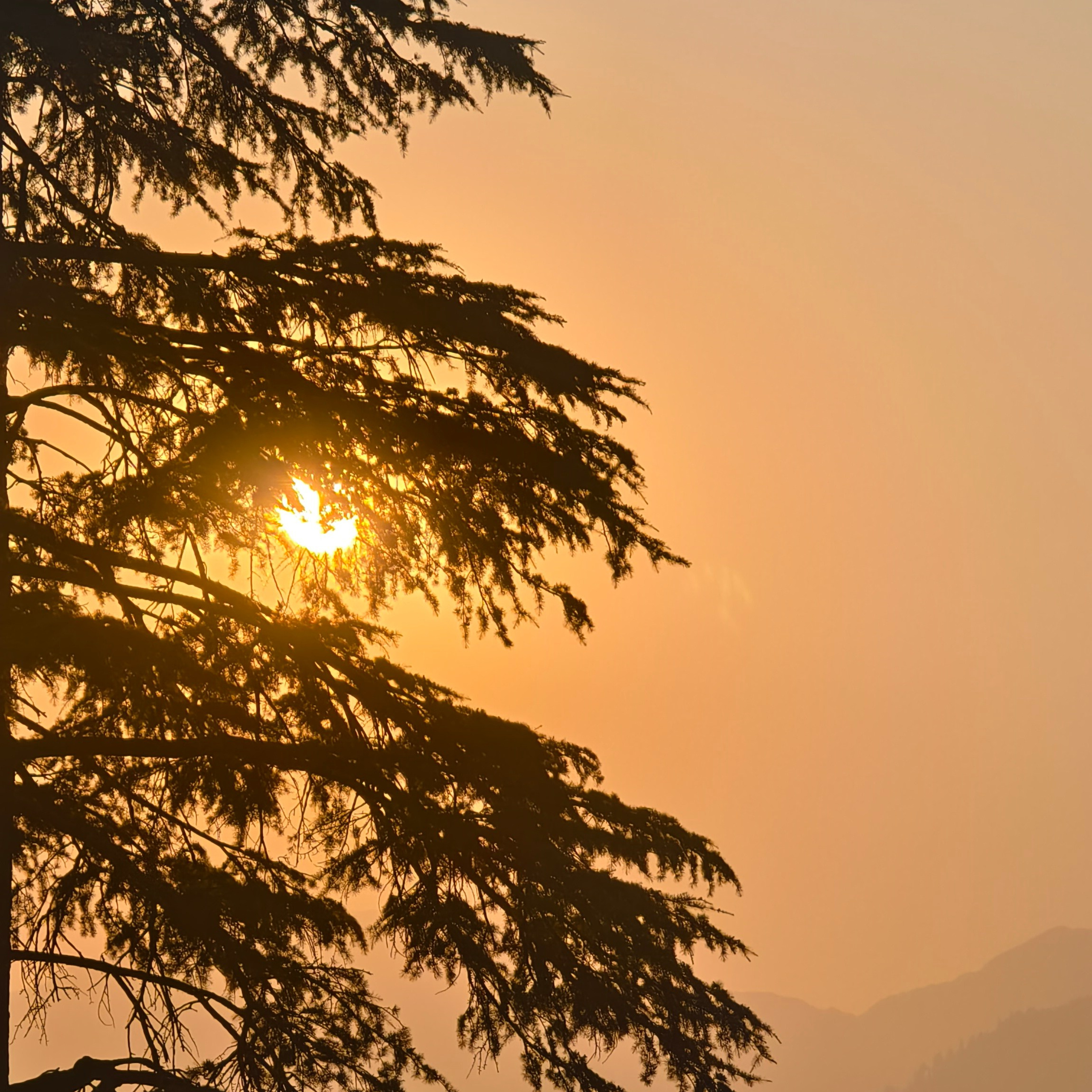 Путешествие в Долину Богов — Манали. Айгуль Лотфуллина. #АйгульТВ. Фотограф в Адлере и Сочи, Красной Поляне