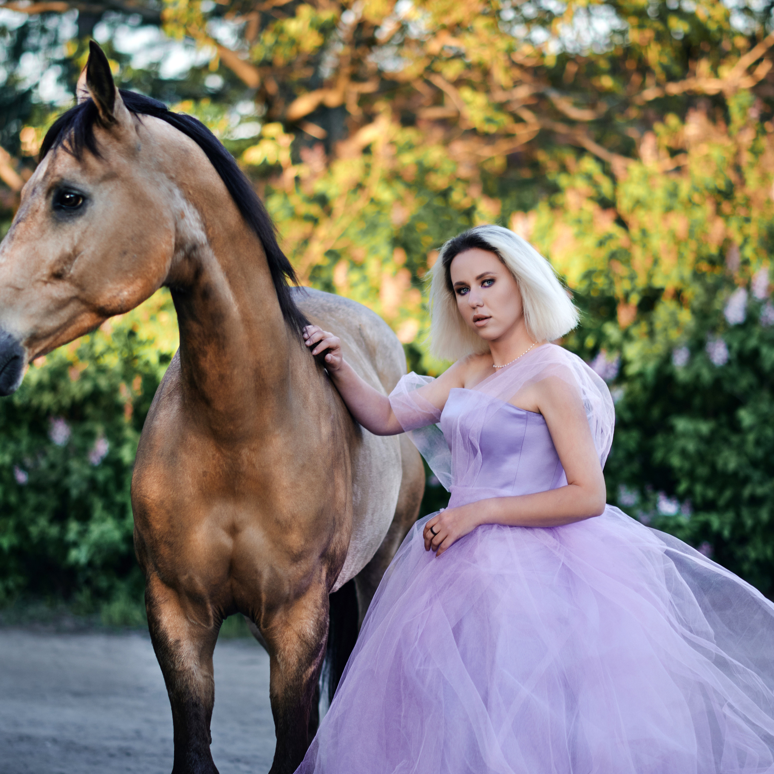 Отзывы. Equestrian photos