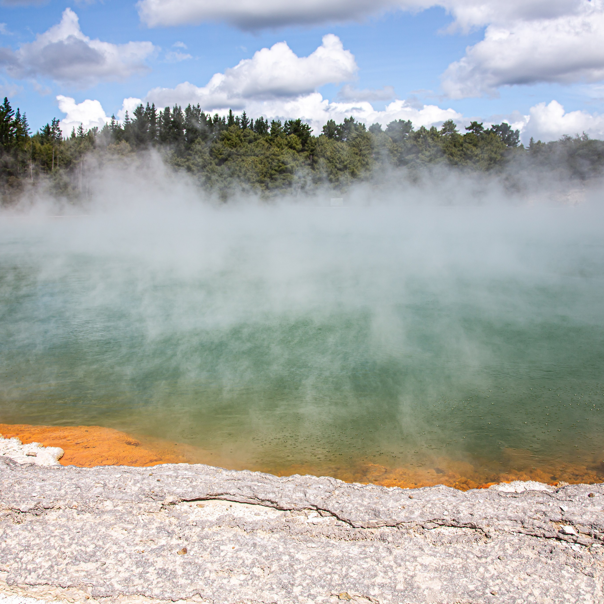 Новая Зеландия