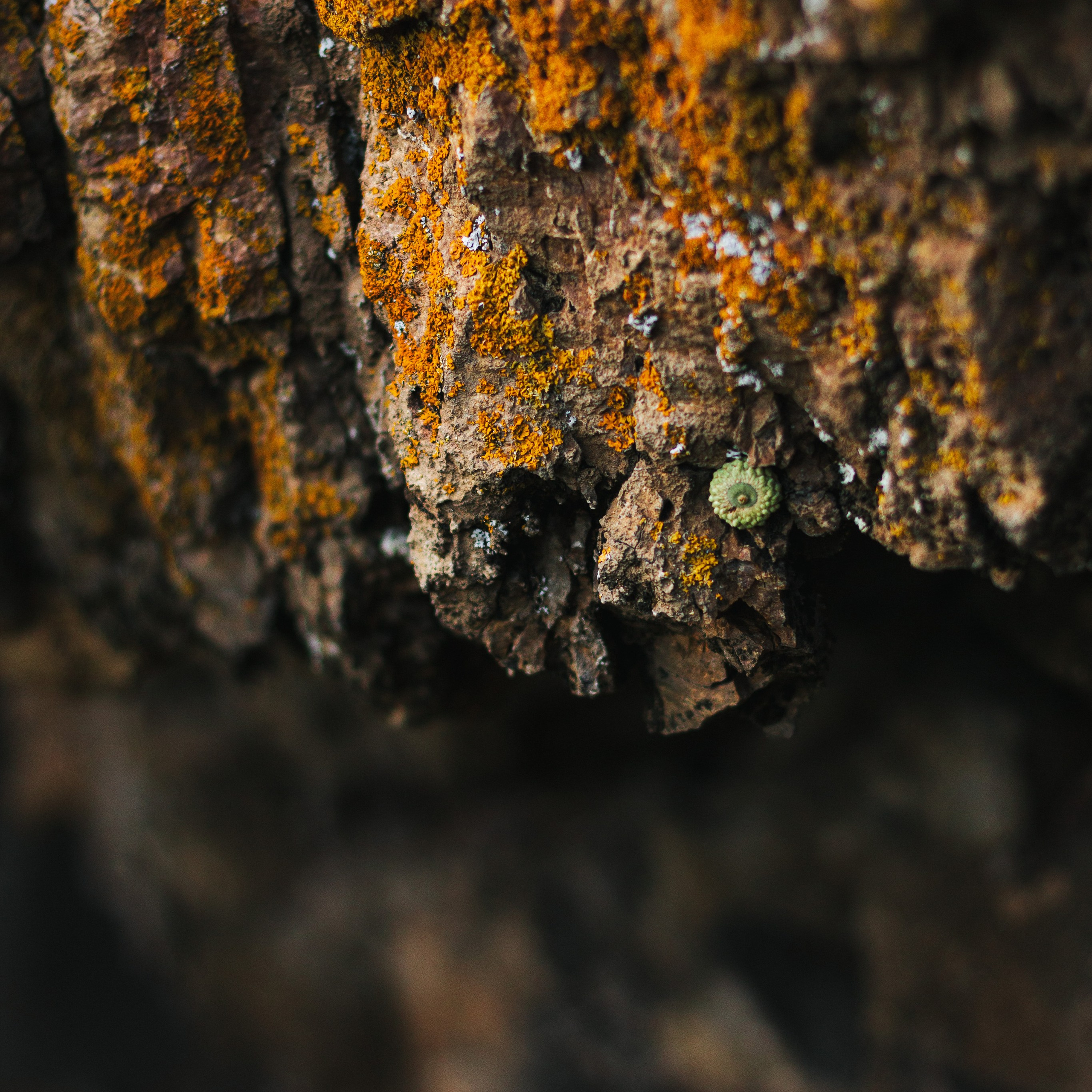 Пинежье летом