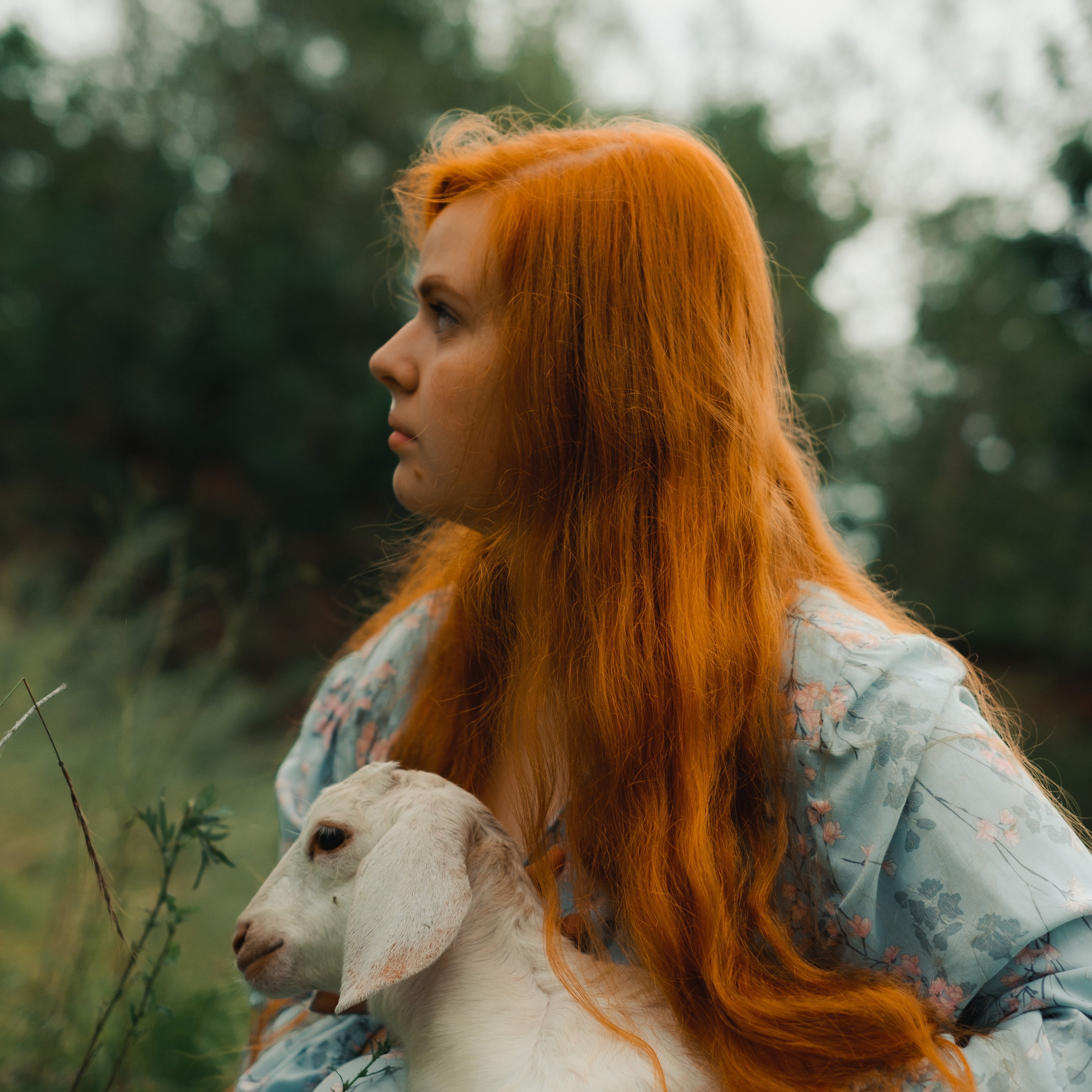 Мария и козы