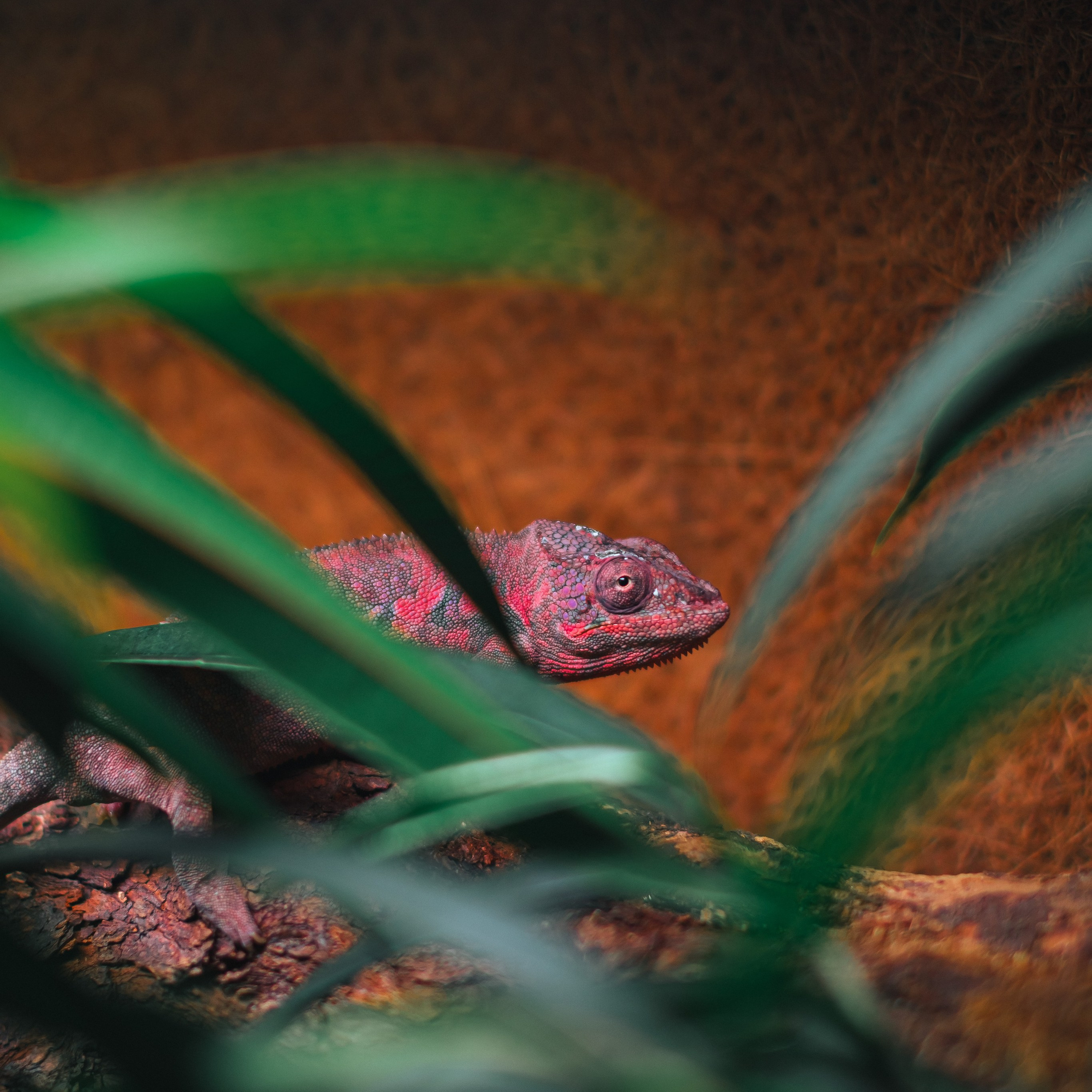 Океанариум