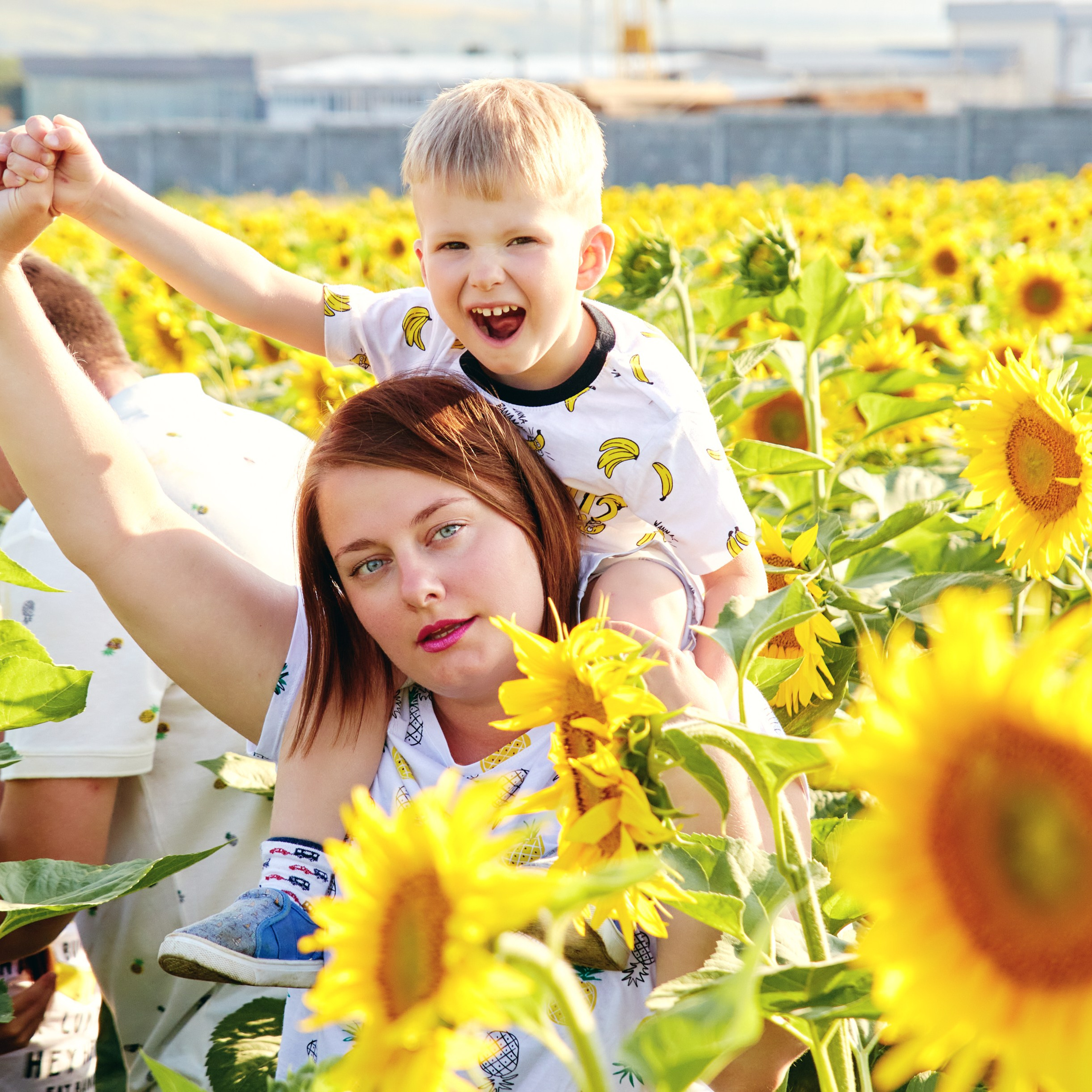 Семейная фотосессия в подсолнухах
