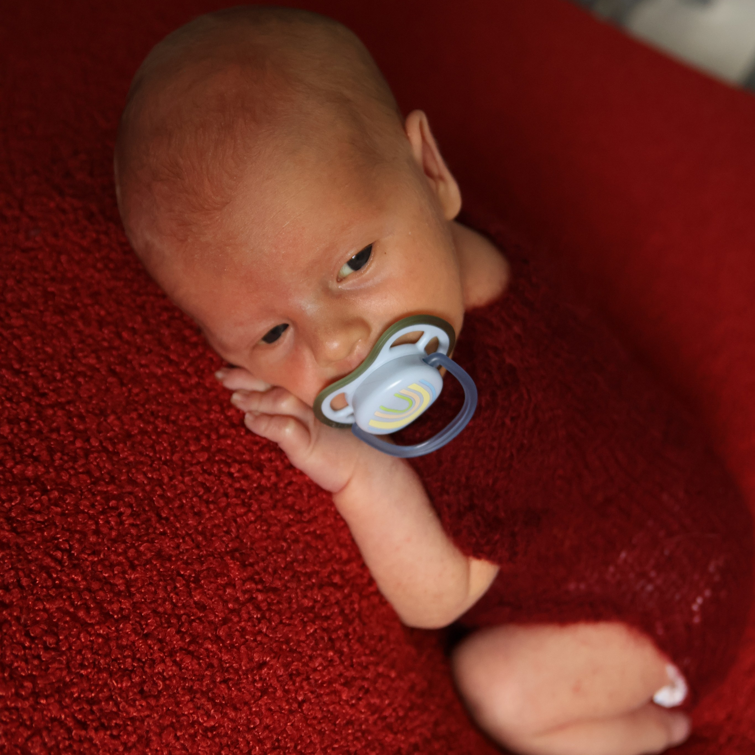 Отзывы. Violinn.Photo