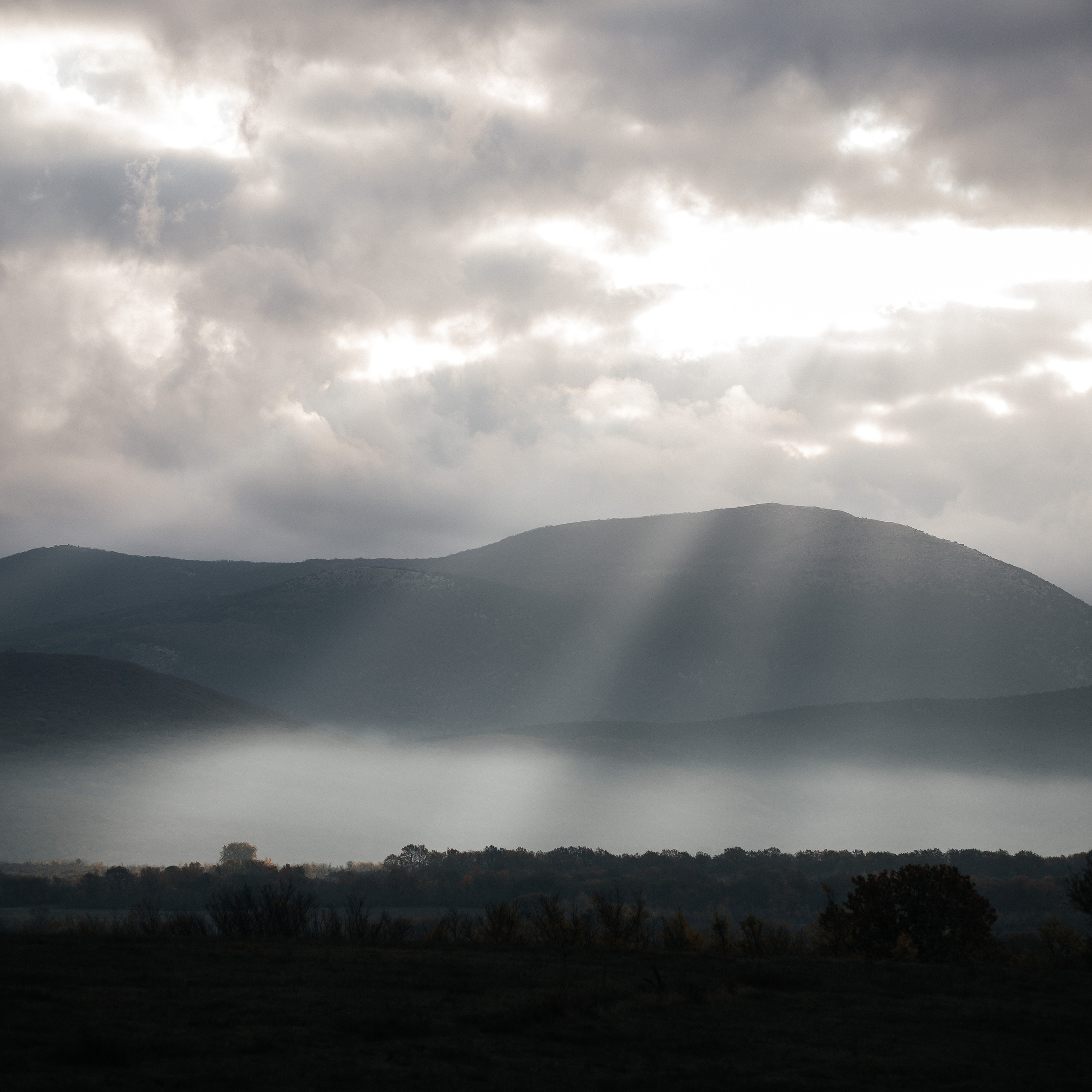 одним пасмурным утром