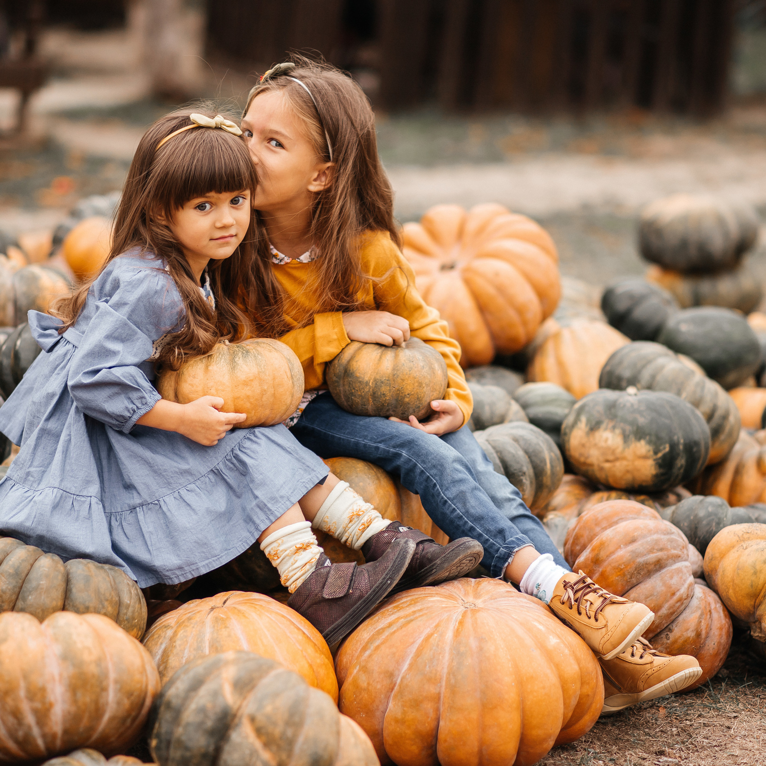 осенняя история