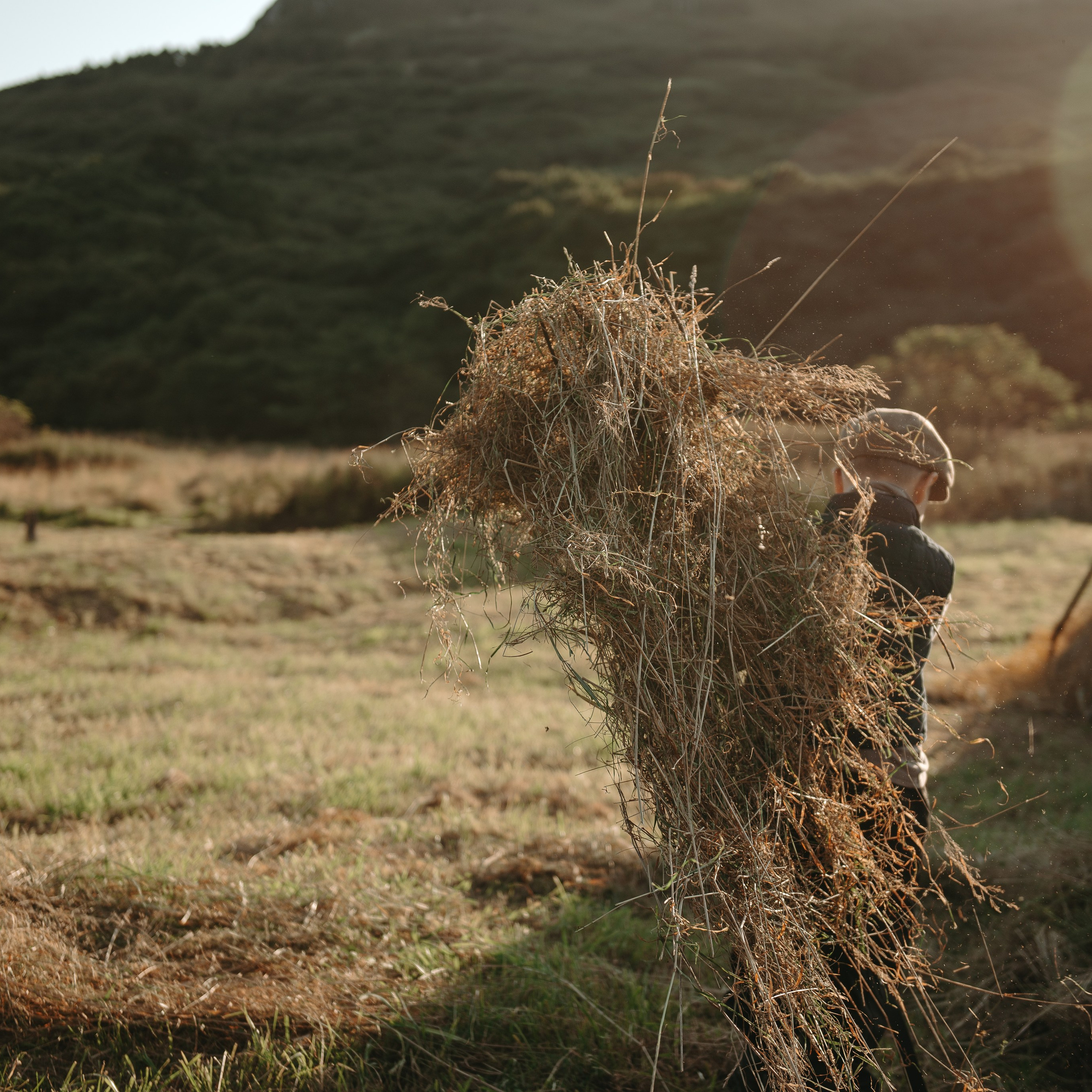 Дениска и Пелагея на сенокосе