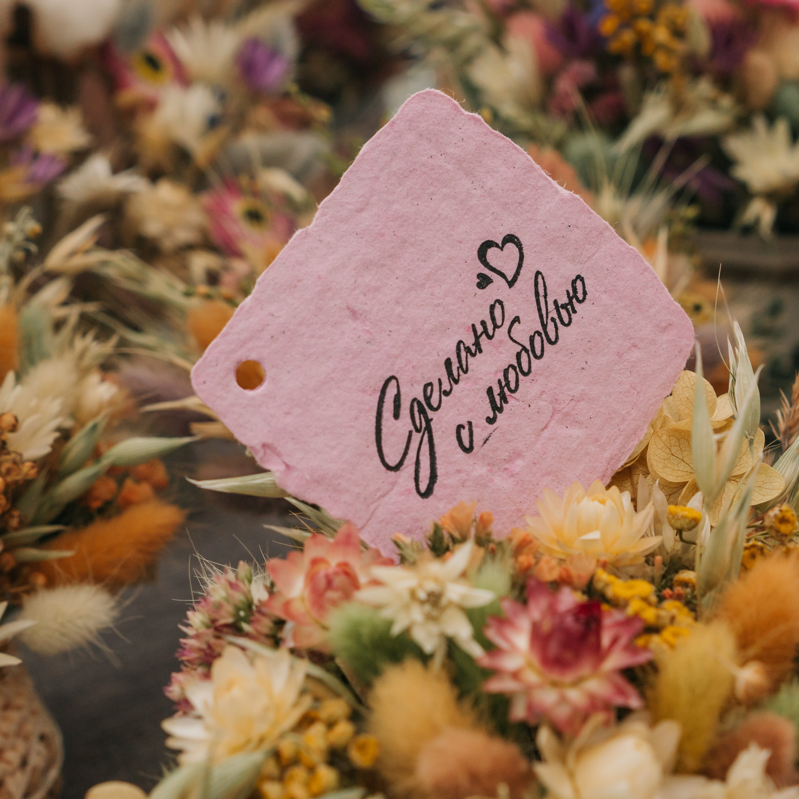 Международный проект «Наш Мир»