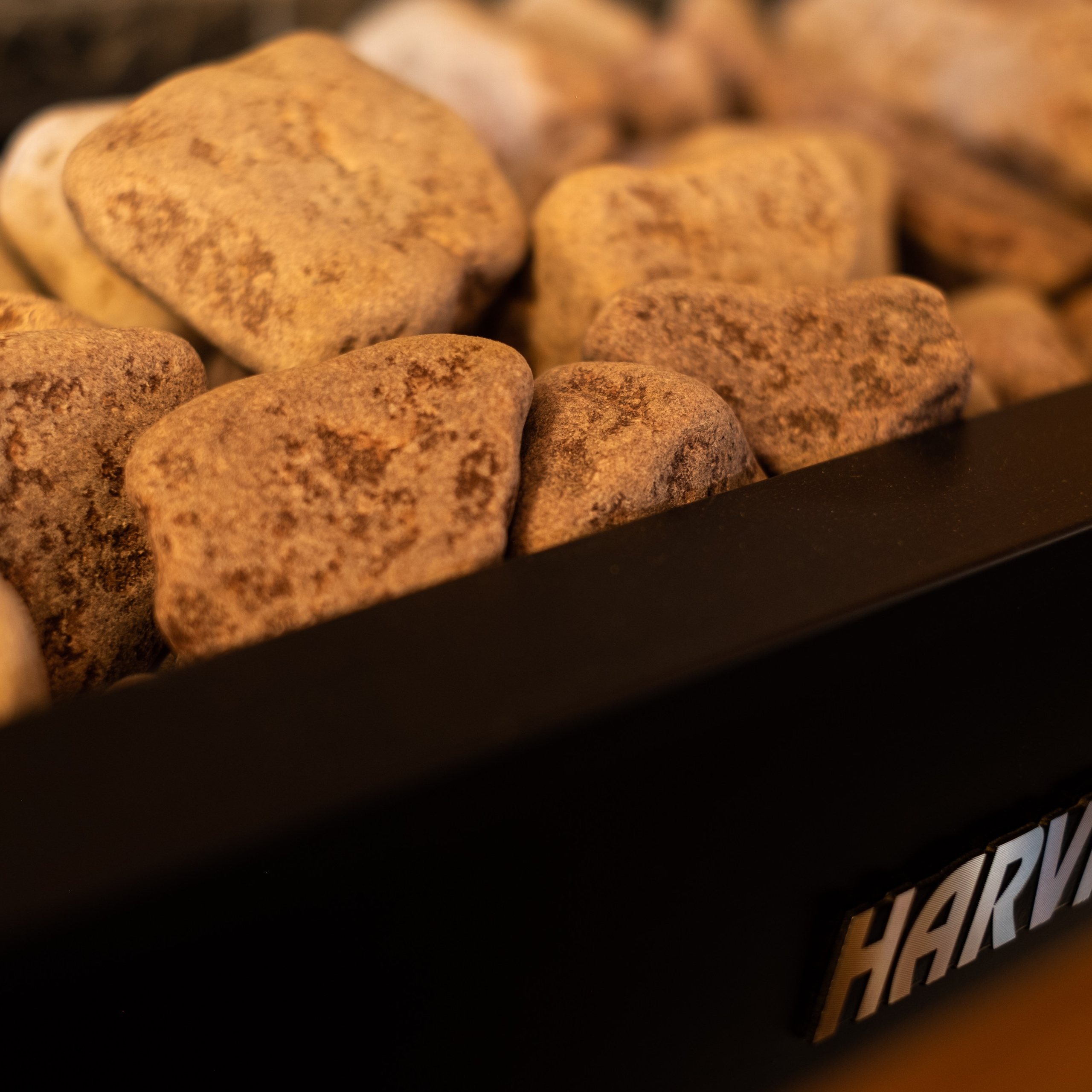 История «Кавказский дуб»