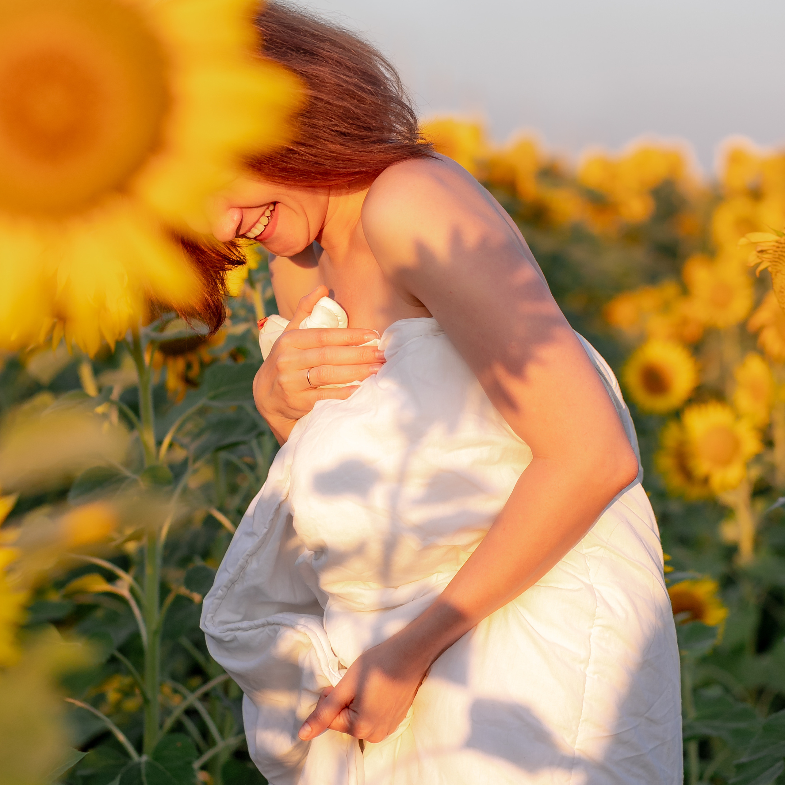 Подсолнухи.