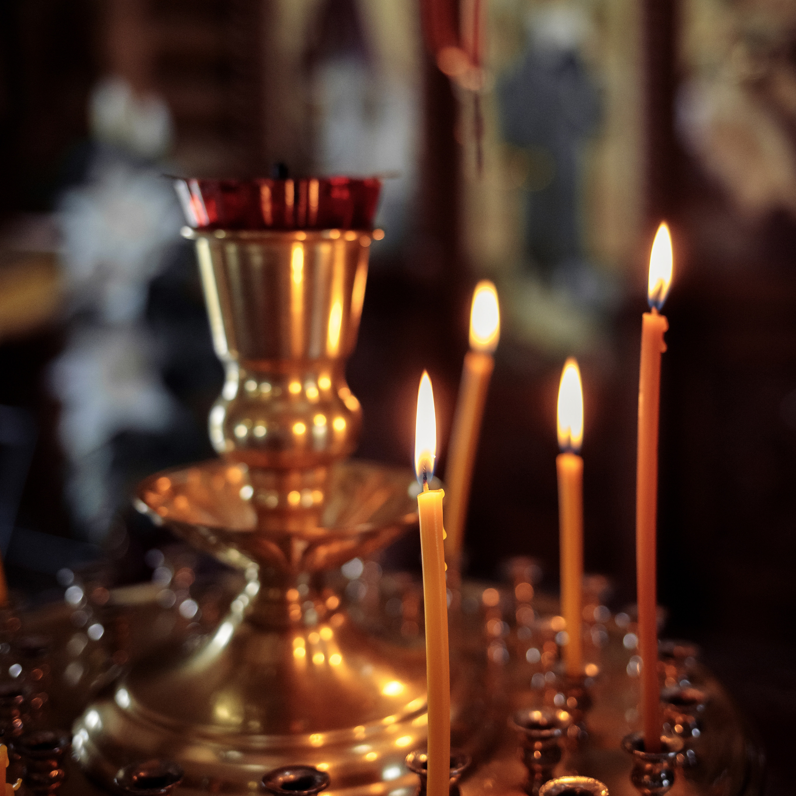 Отзывы. Фотограф в Самарской области Елизавета Чагеева