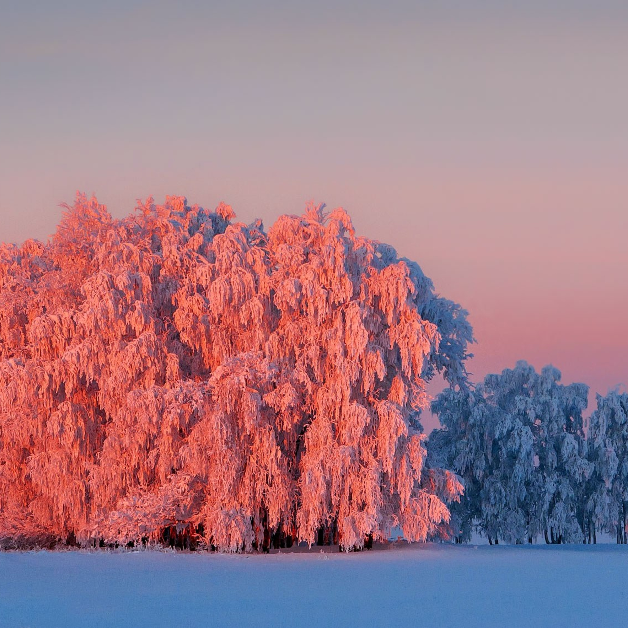 Календарь на 2012 год