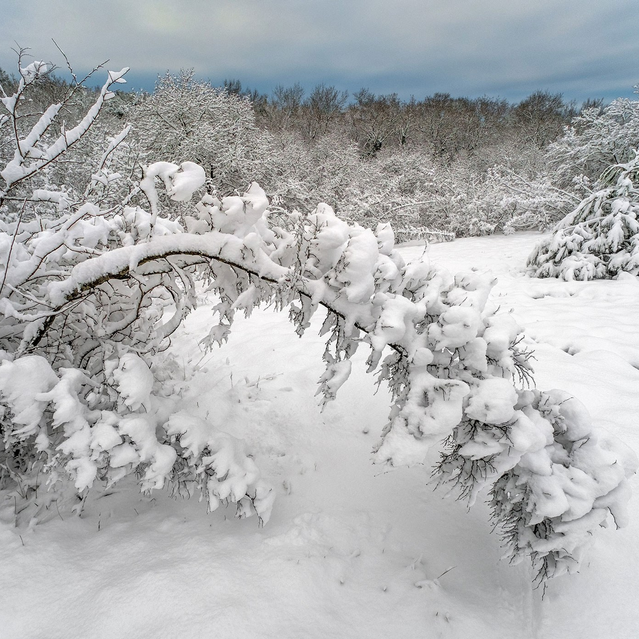 Снег в Геленджике. 16.01.2026