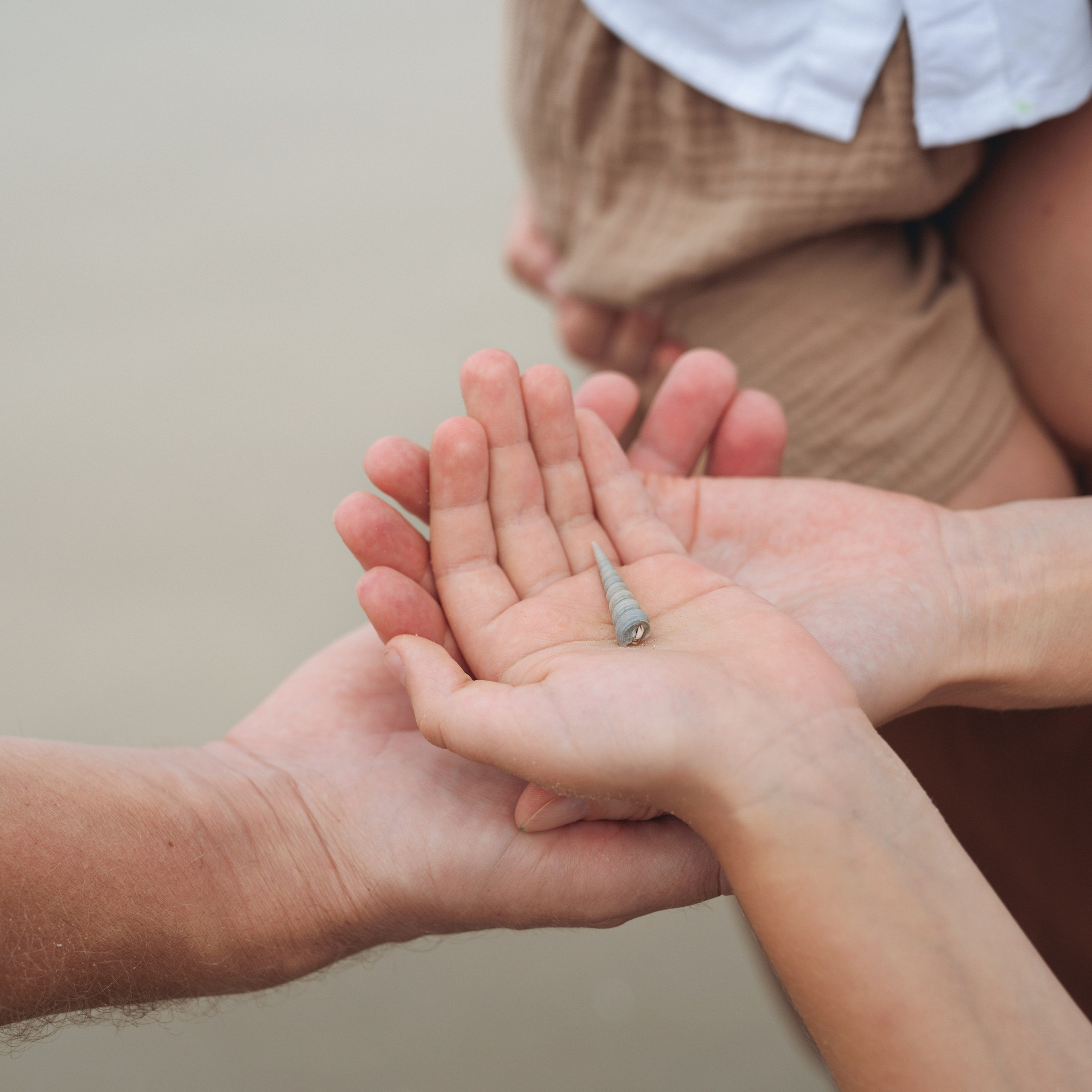 Морская прогулка