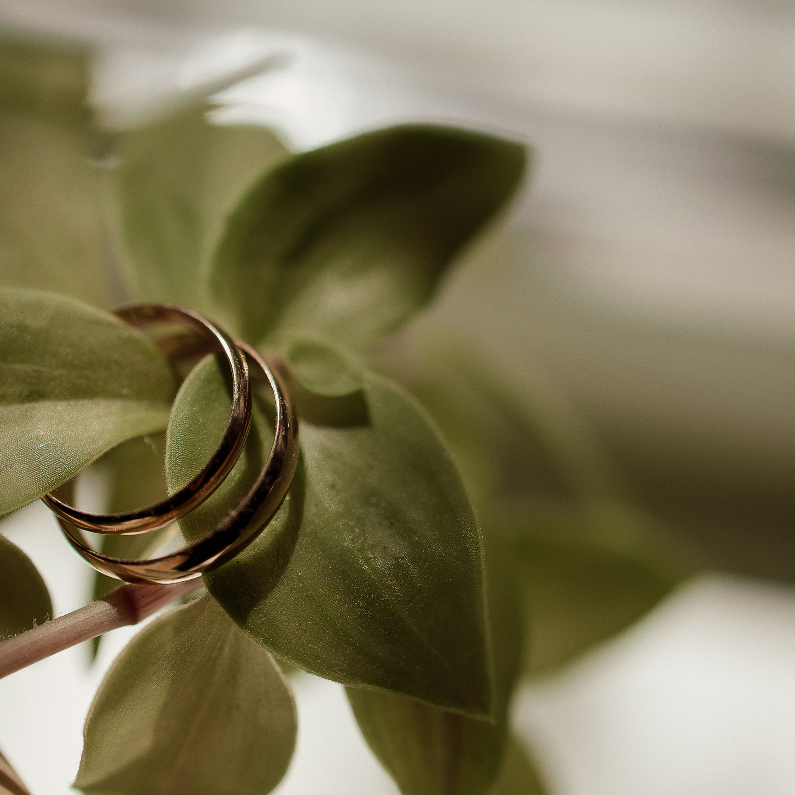 Отзывы. Свадебный фотограф