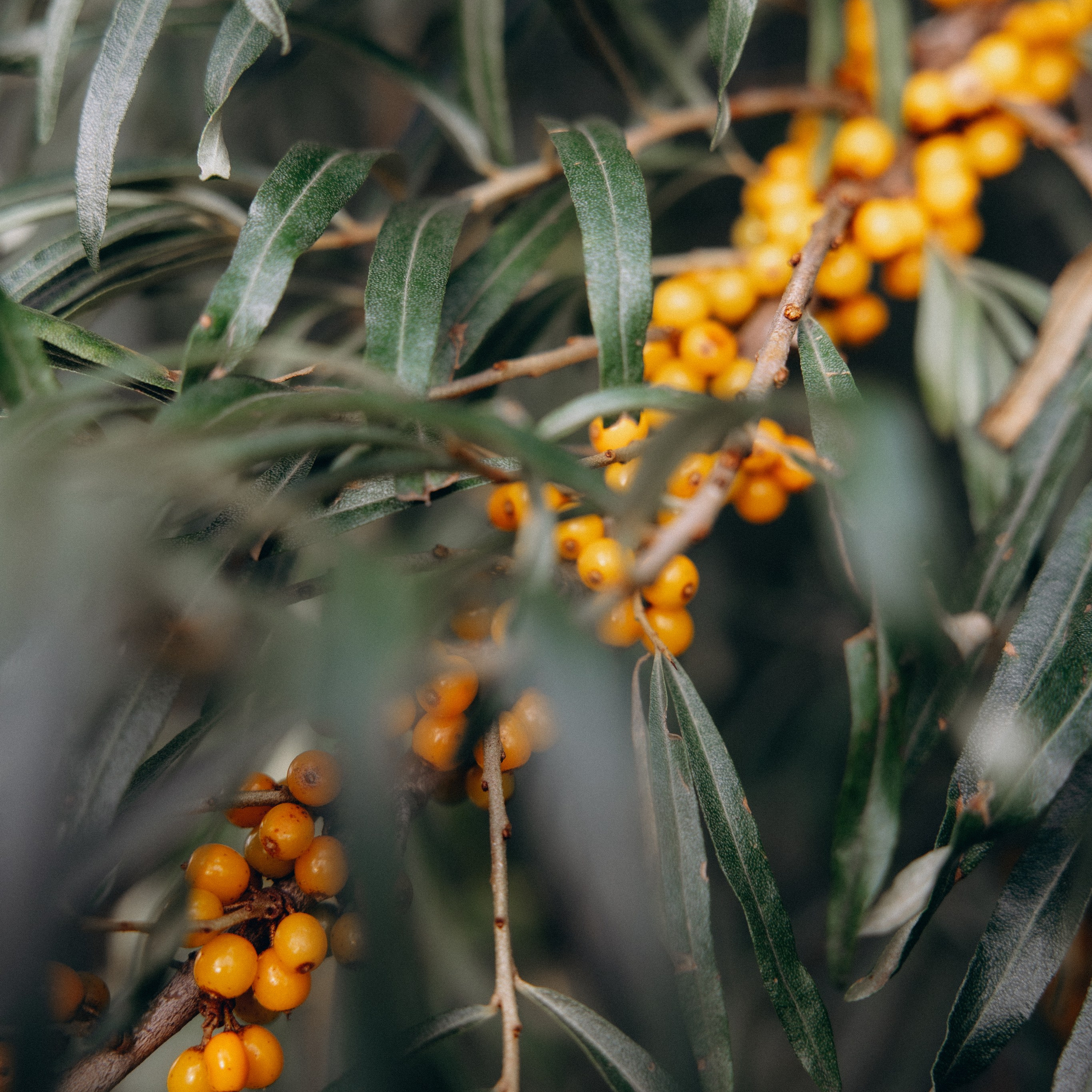 Арина и&nbsp;Антон