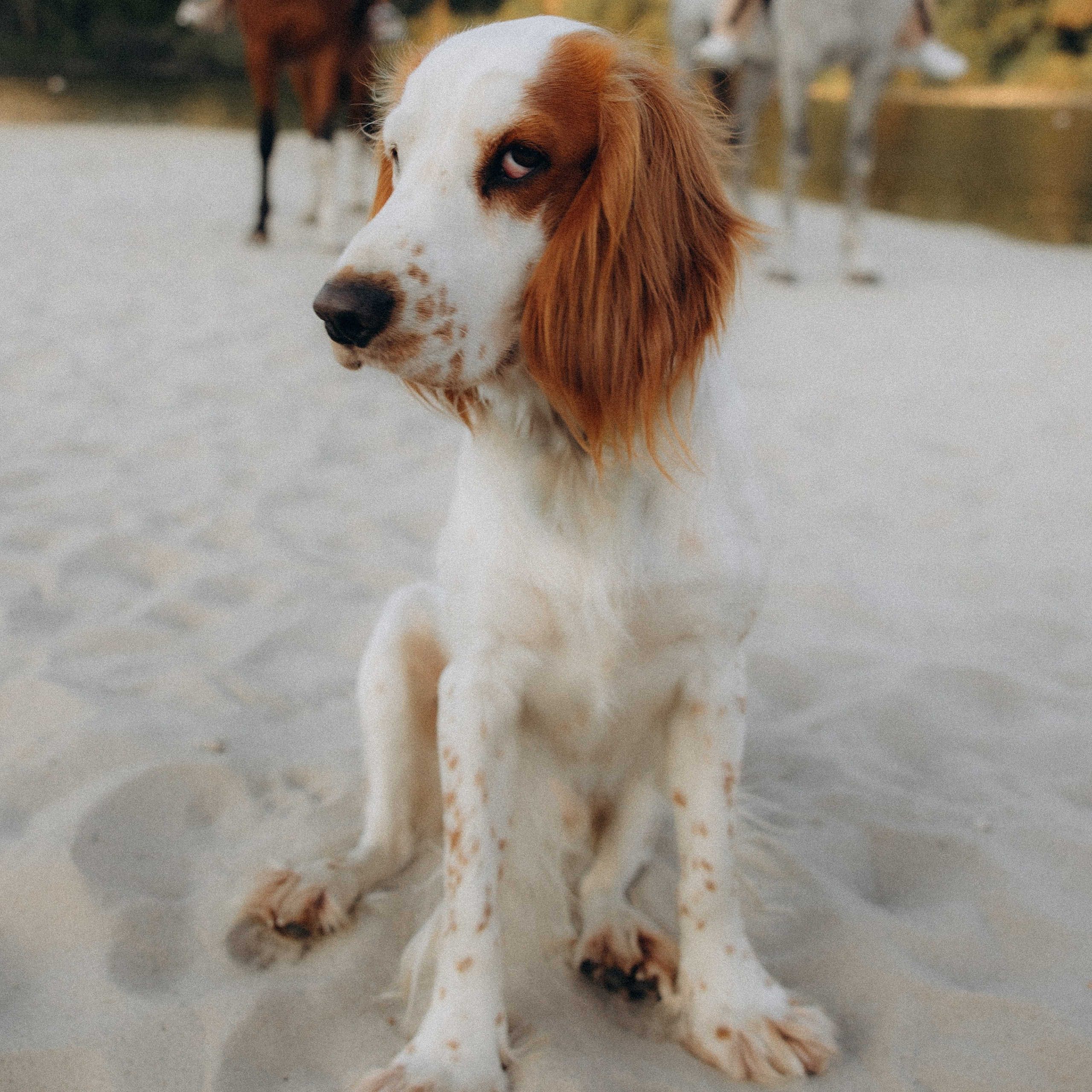 Анастасия и&nbsp;Алексей