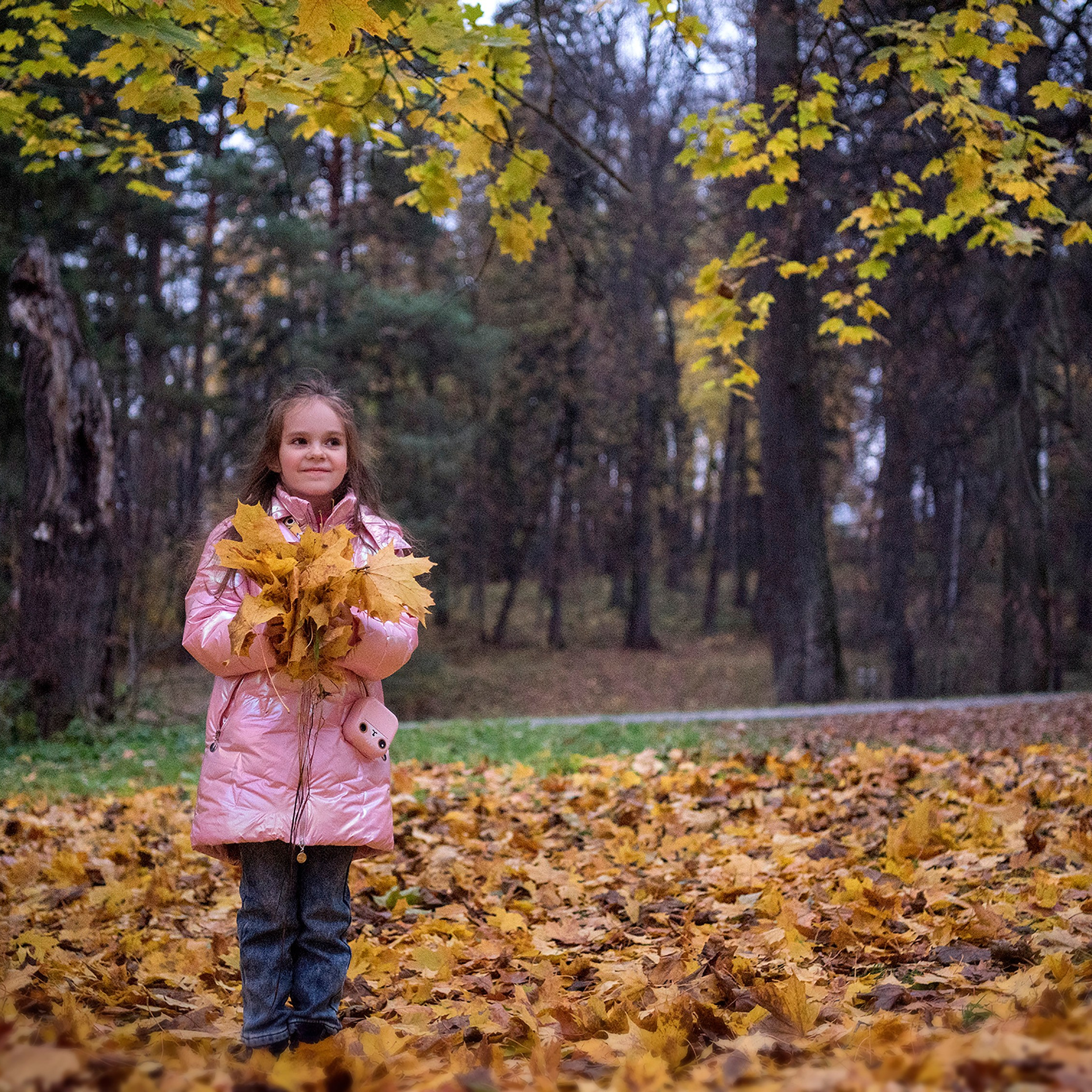 Золотая осень