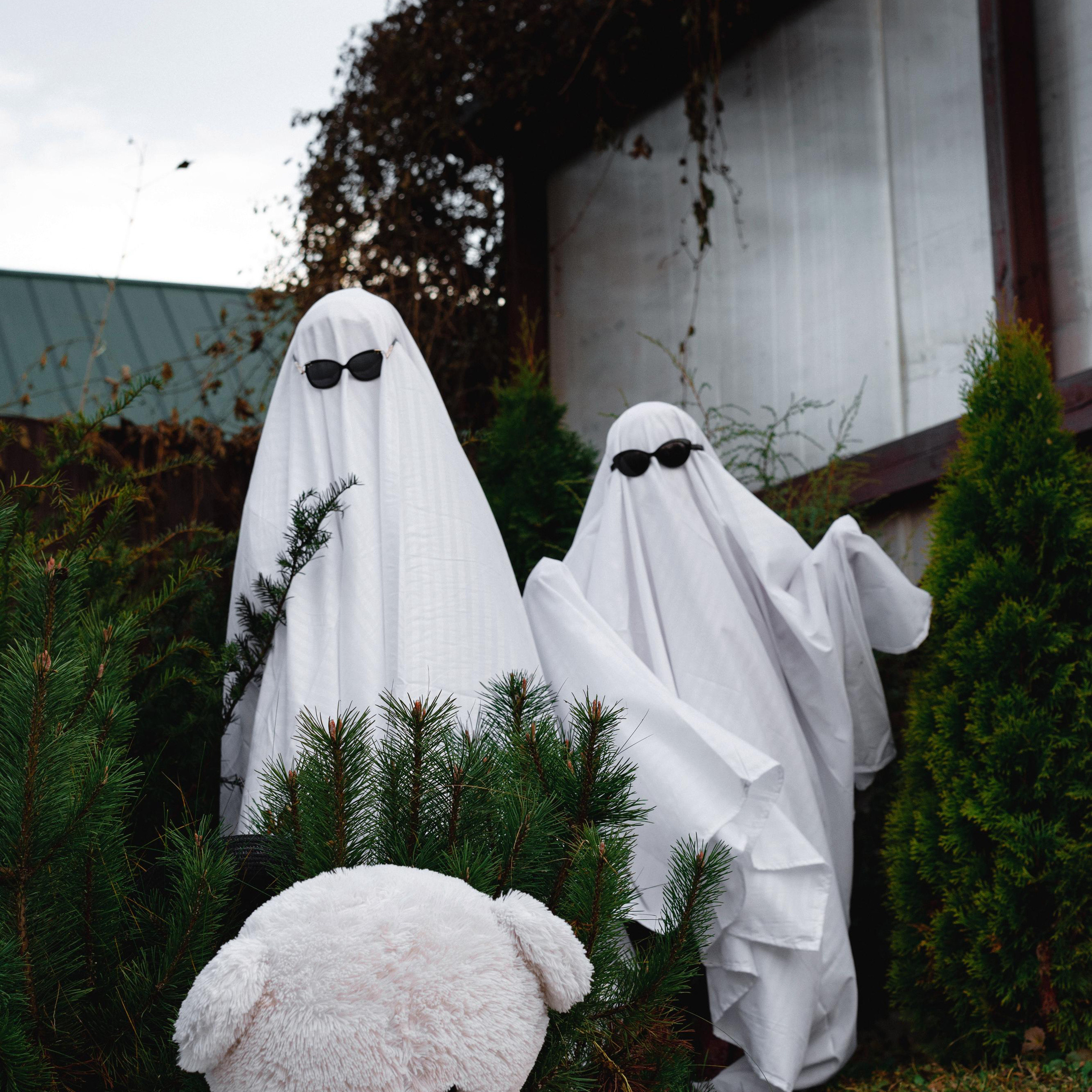 Отзывы. Коммерческий фотограф в Казани Ксения Добролюбова