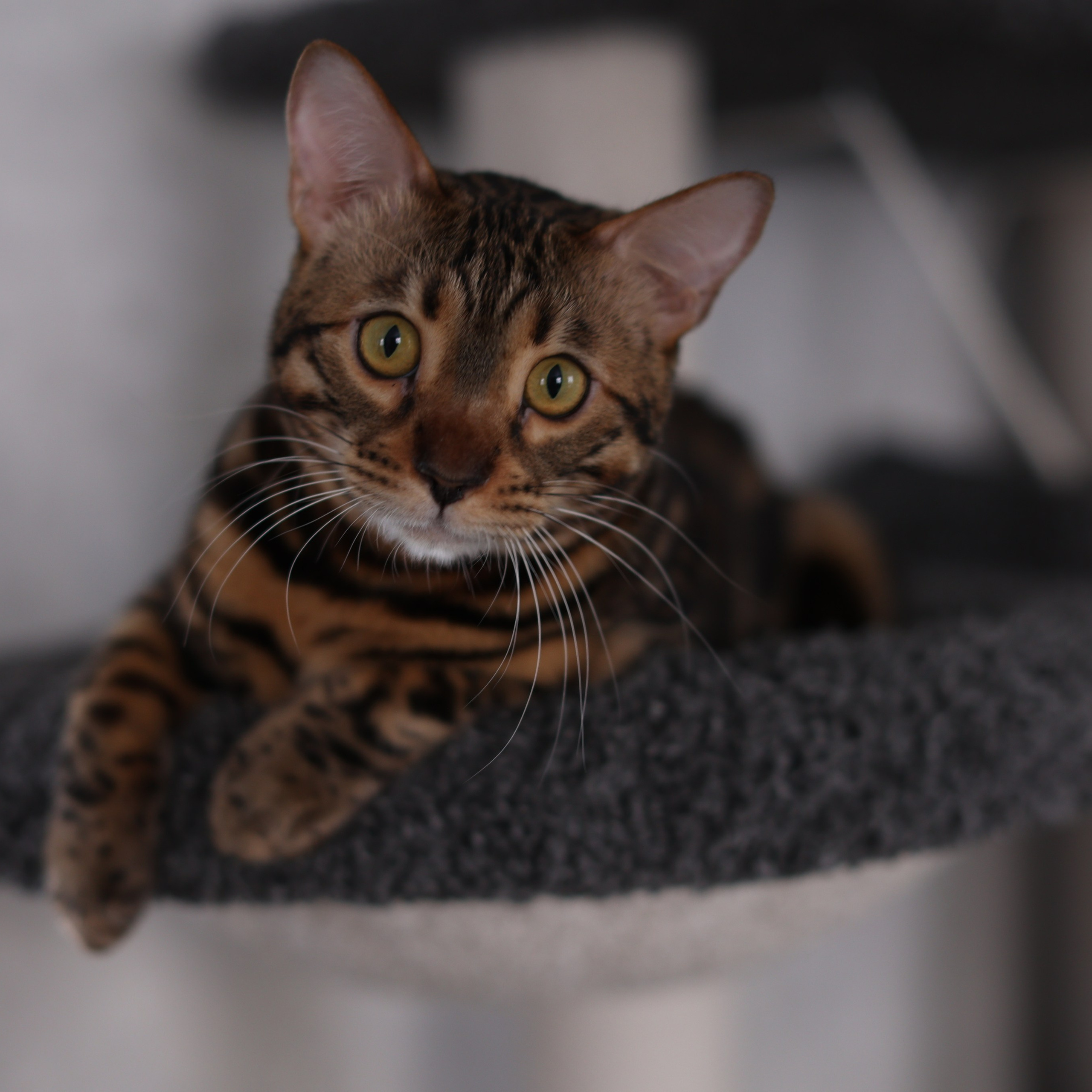 Отзывы. Фотограф Юлия Штейн. Фотографирую счастье и сохраняю воспоминания