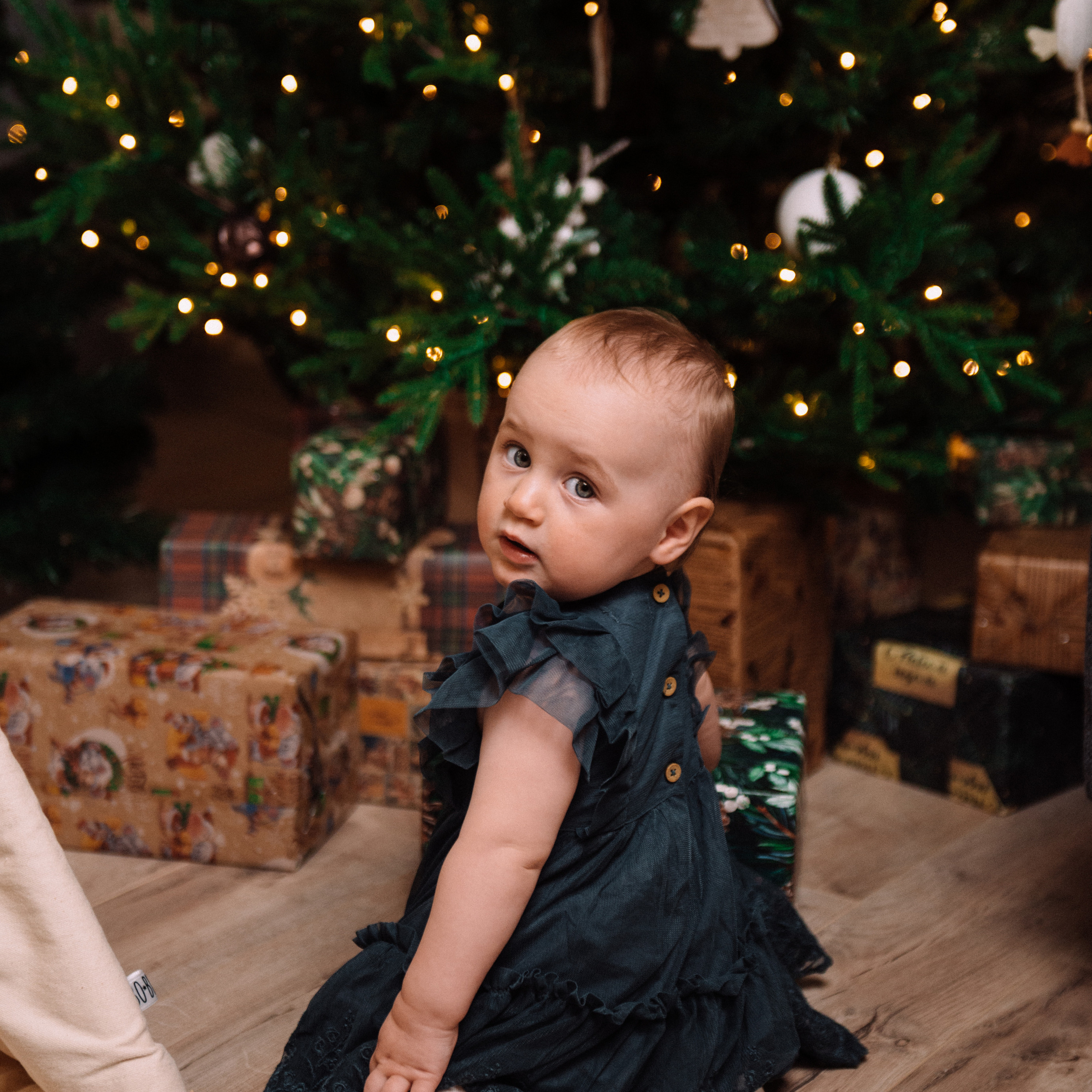 Новогодняя. Фотограф в Минске