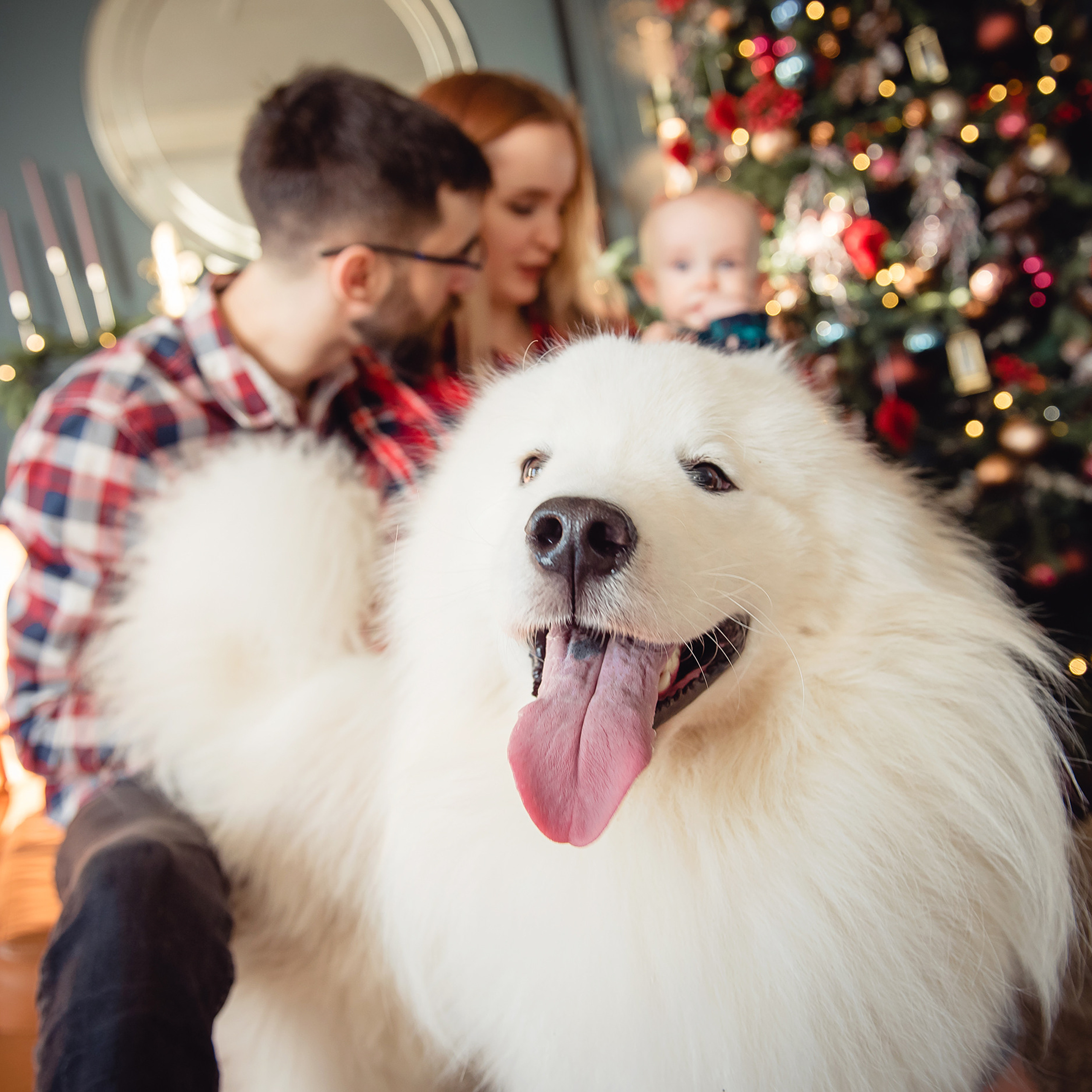Отзывы. Свадебный, семейный фотограф в СПб Татьяна Игнашева. Выпускные альбомы