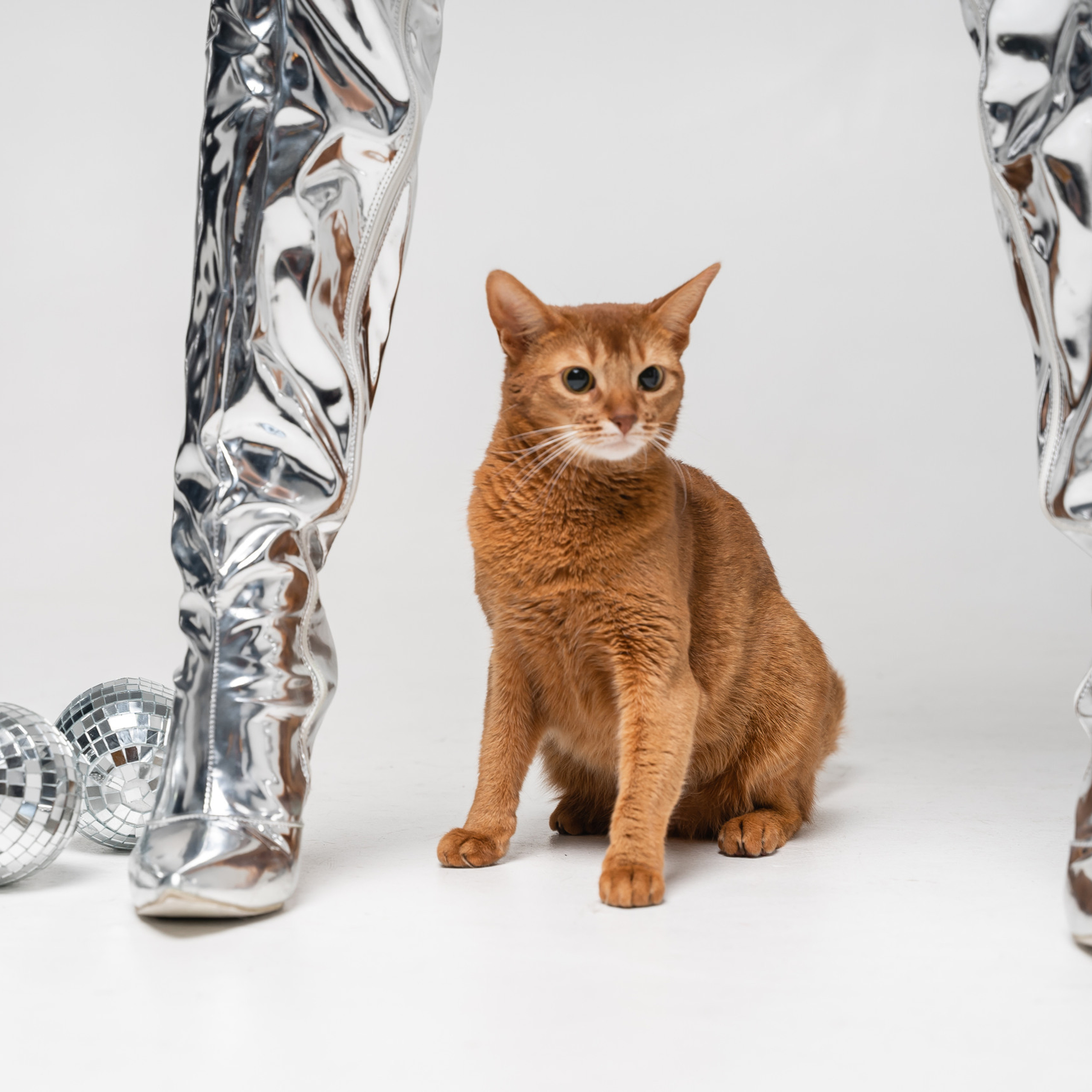 Отзывы. Свадебный, семейный фотограф в СПб Татьяна Игнашева. Выпускные альбомы