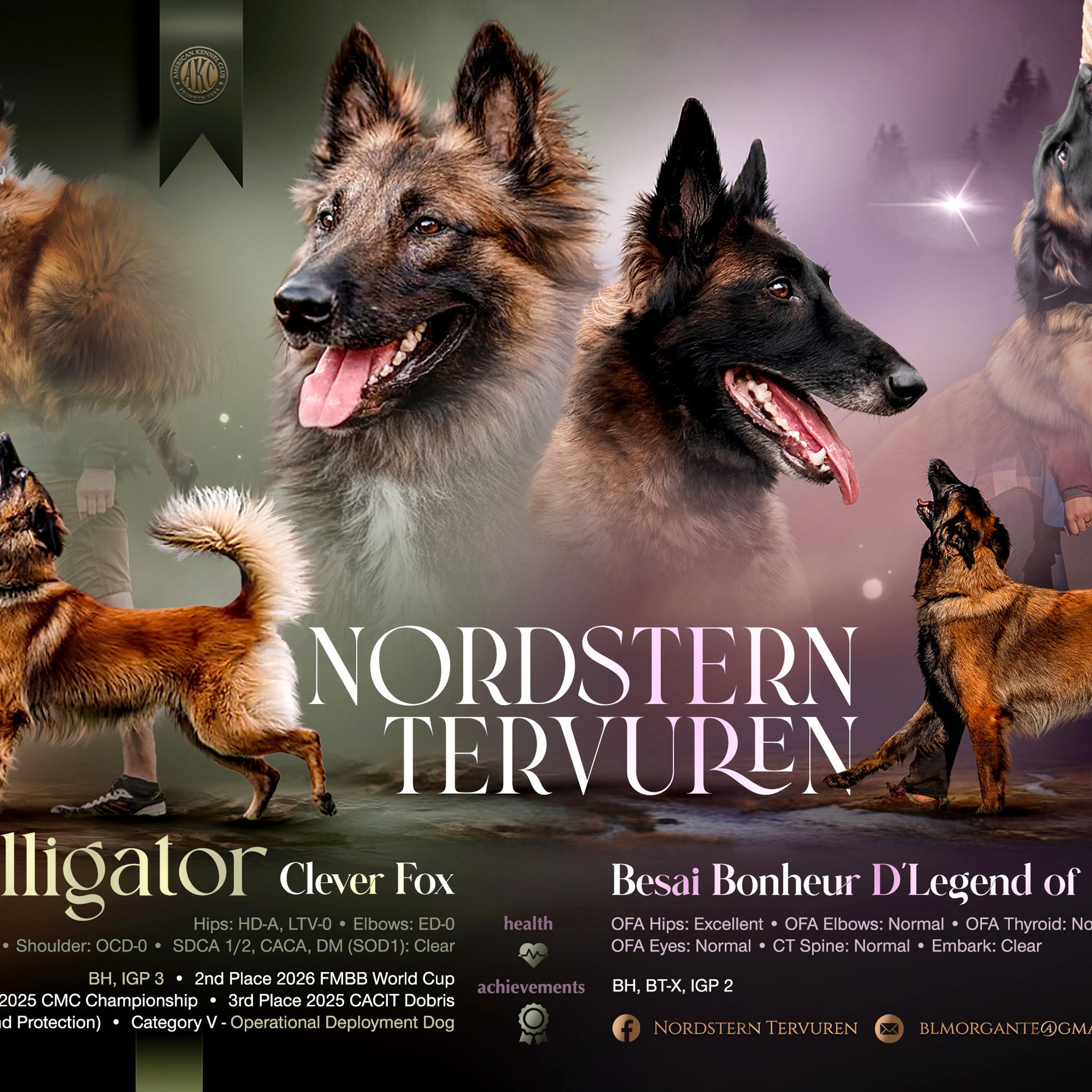 Reviews. NK GRAPHIC ATELIER FOR BREEDERS