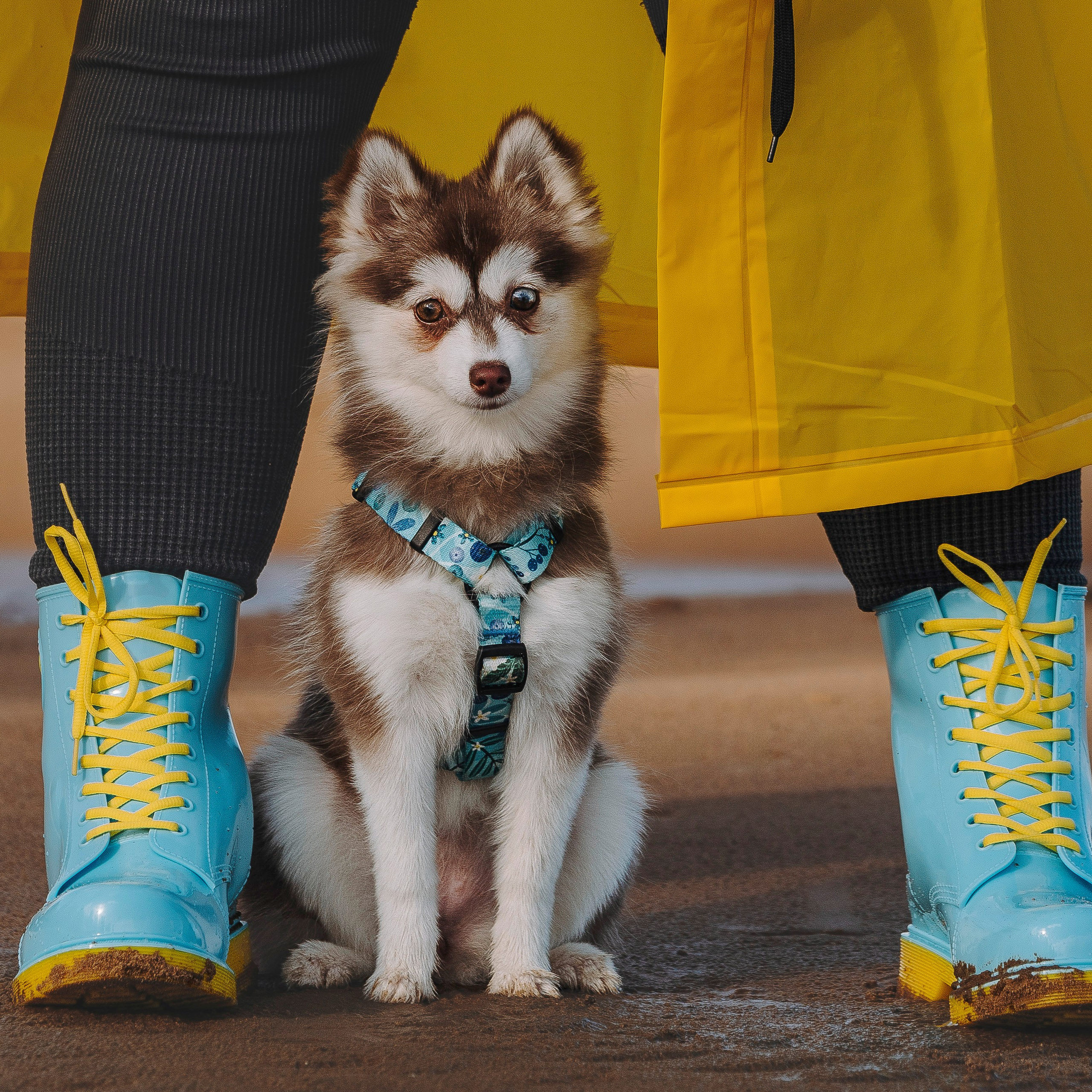 Катерина и&nbsp;Дрэка