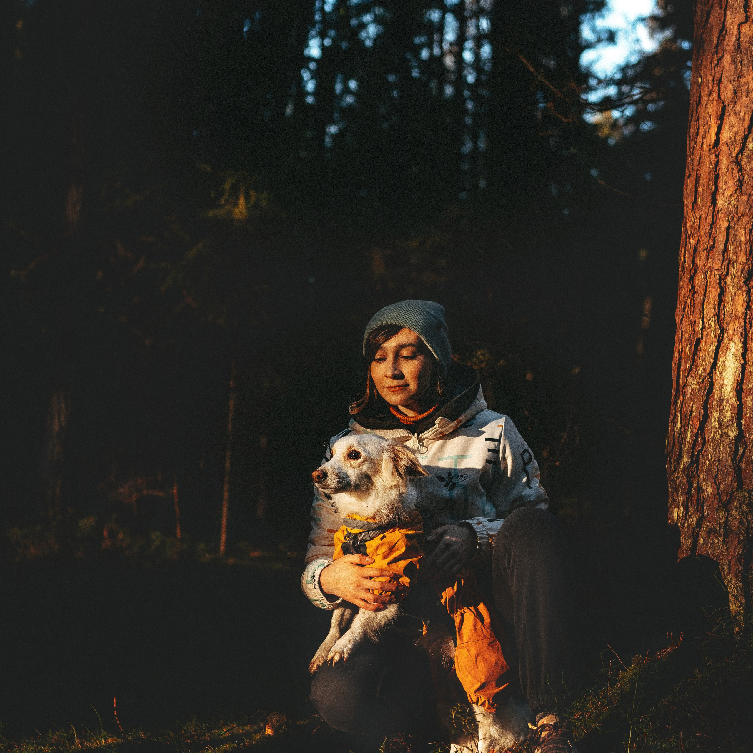 Отзывы о работе фотографа анималиста Спб. Фотограф анималист в Спб недорого Олеся Майорова