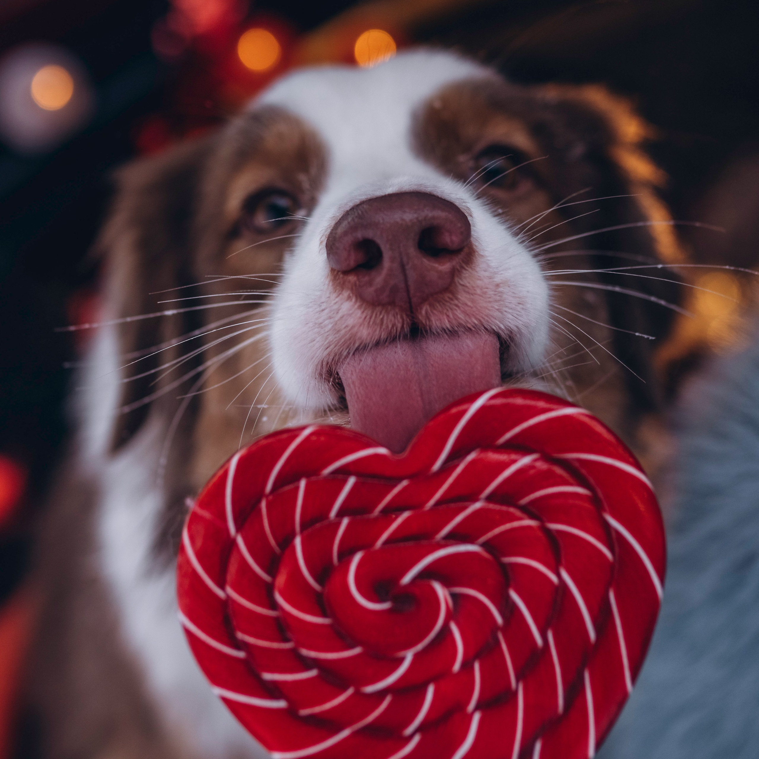 Фотодень Святого Валентина