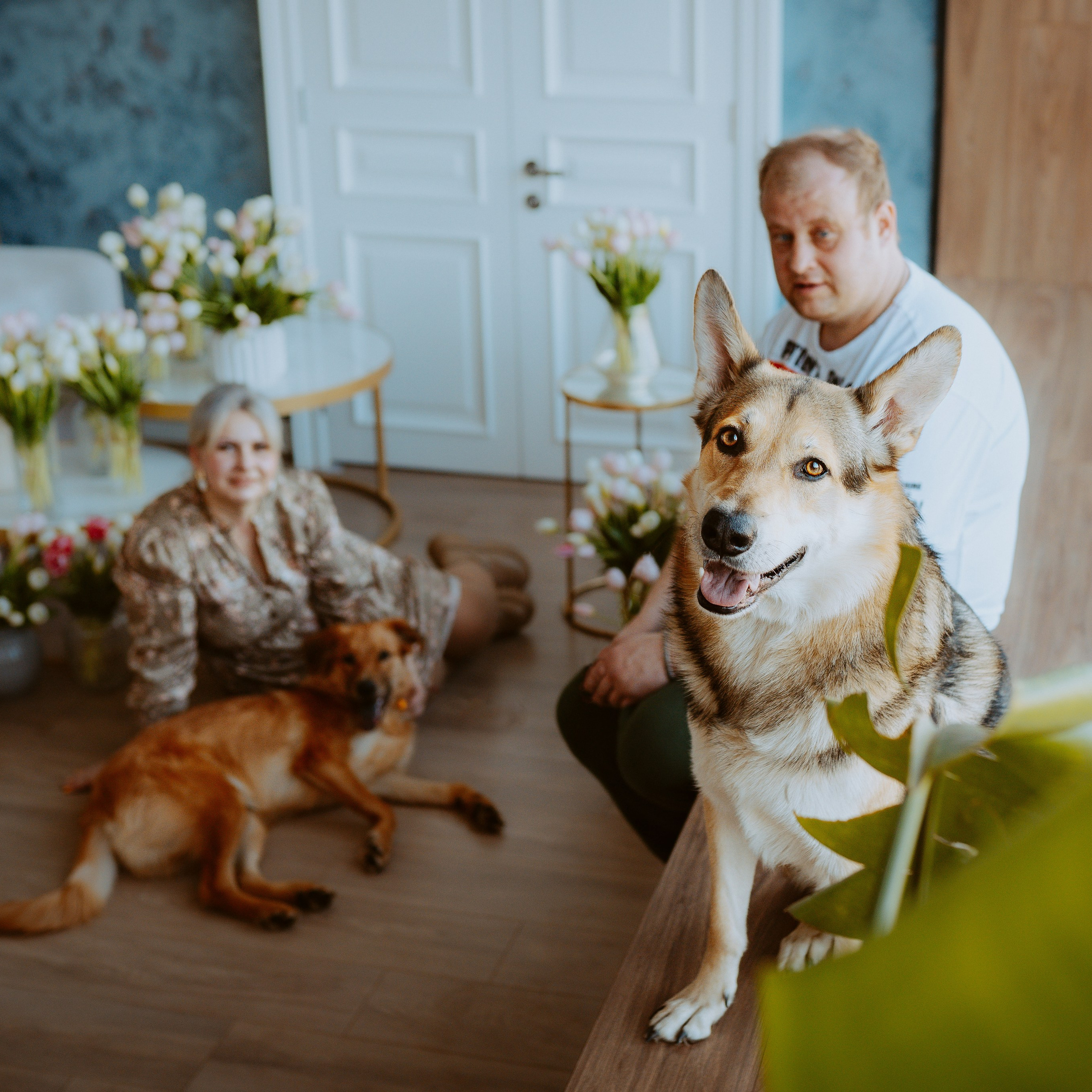 Рэй, Кузя, Ольга и Александр