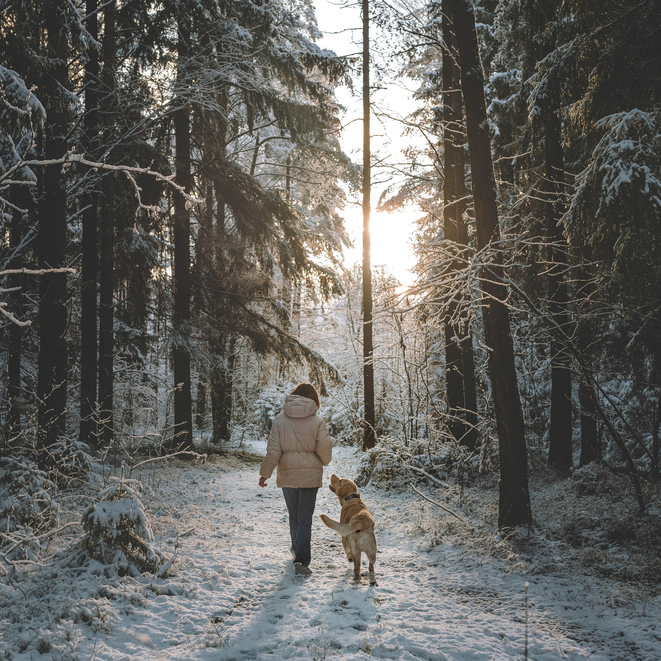 Аня и&nbsp;Честер