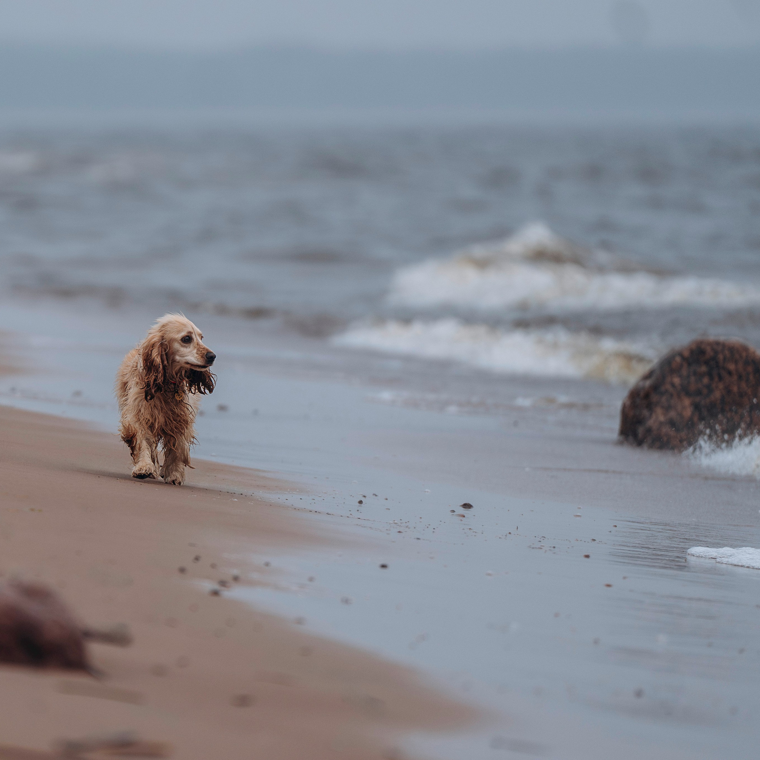 Асти, Крис и&nbsp;Александра