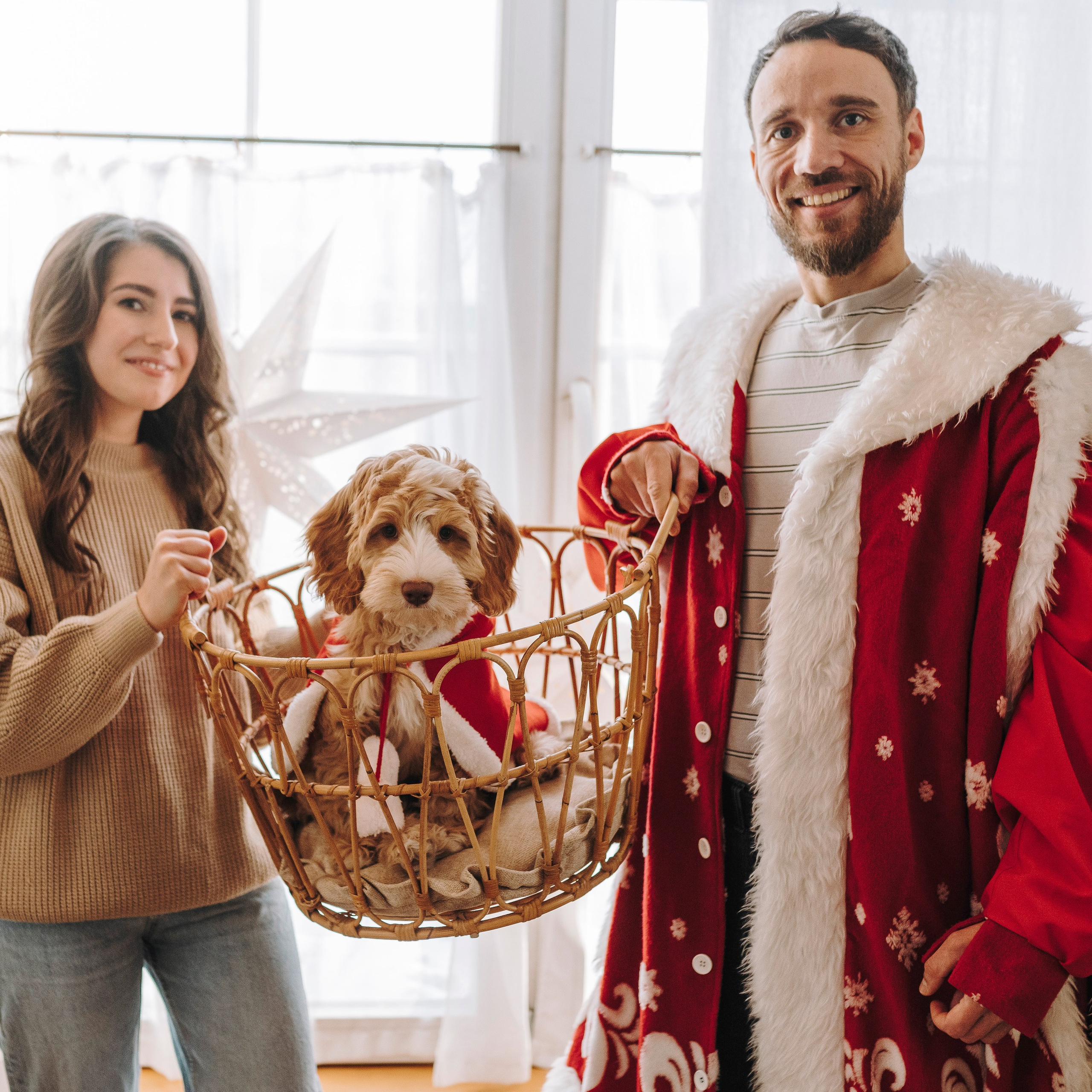 Мёрфи, Таня и Антон