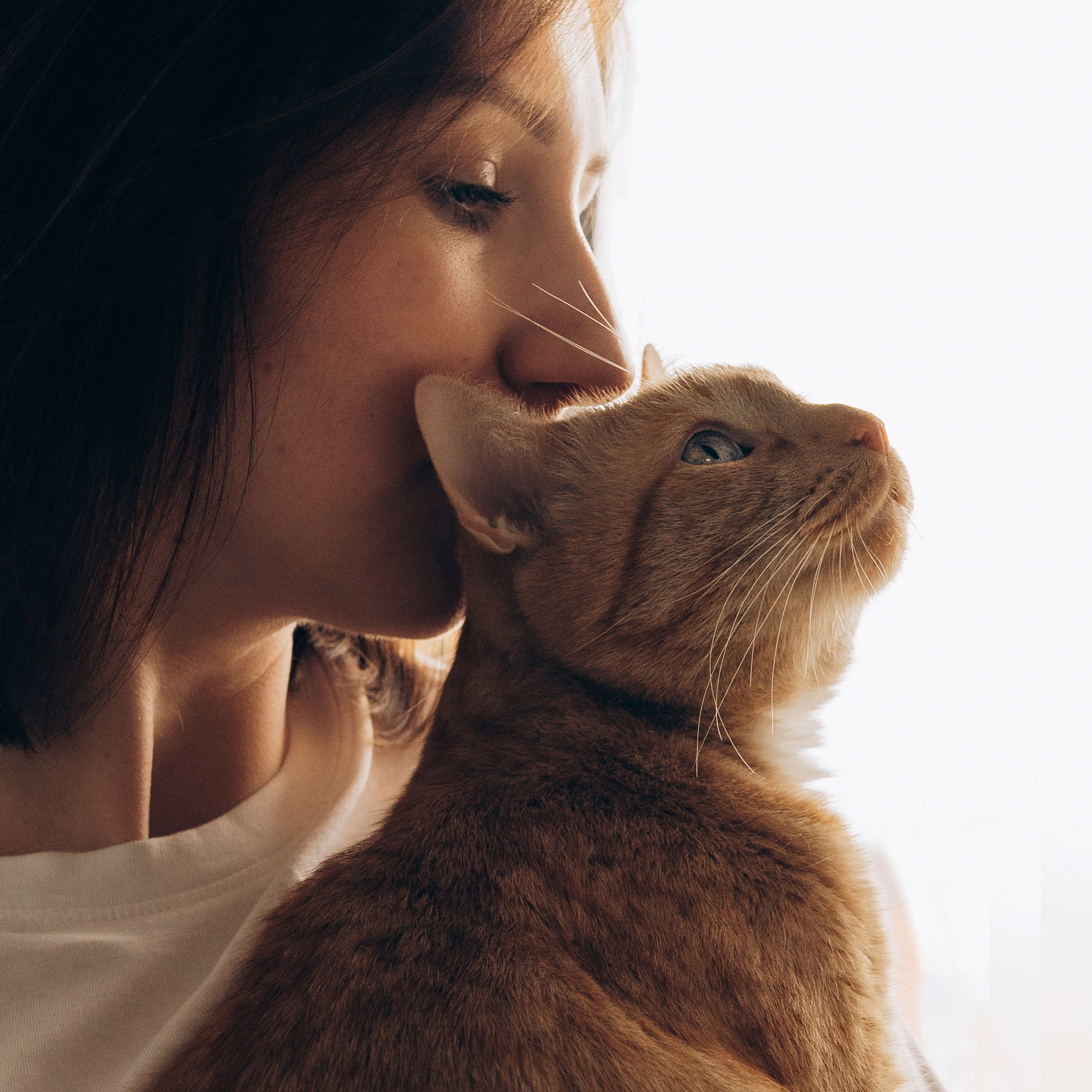 Отзывы о работе фотографа анималиста Спб. Фотограф анималист в Спб недорого Олеся Майорова