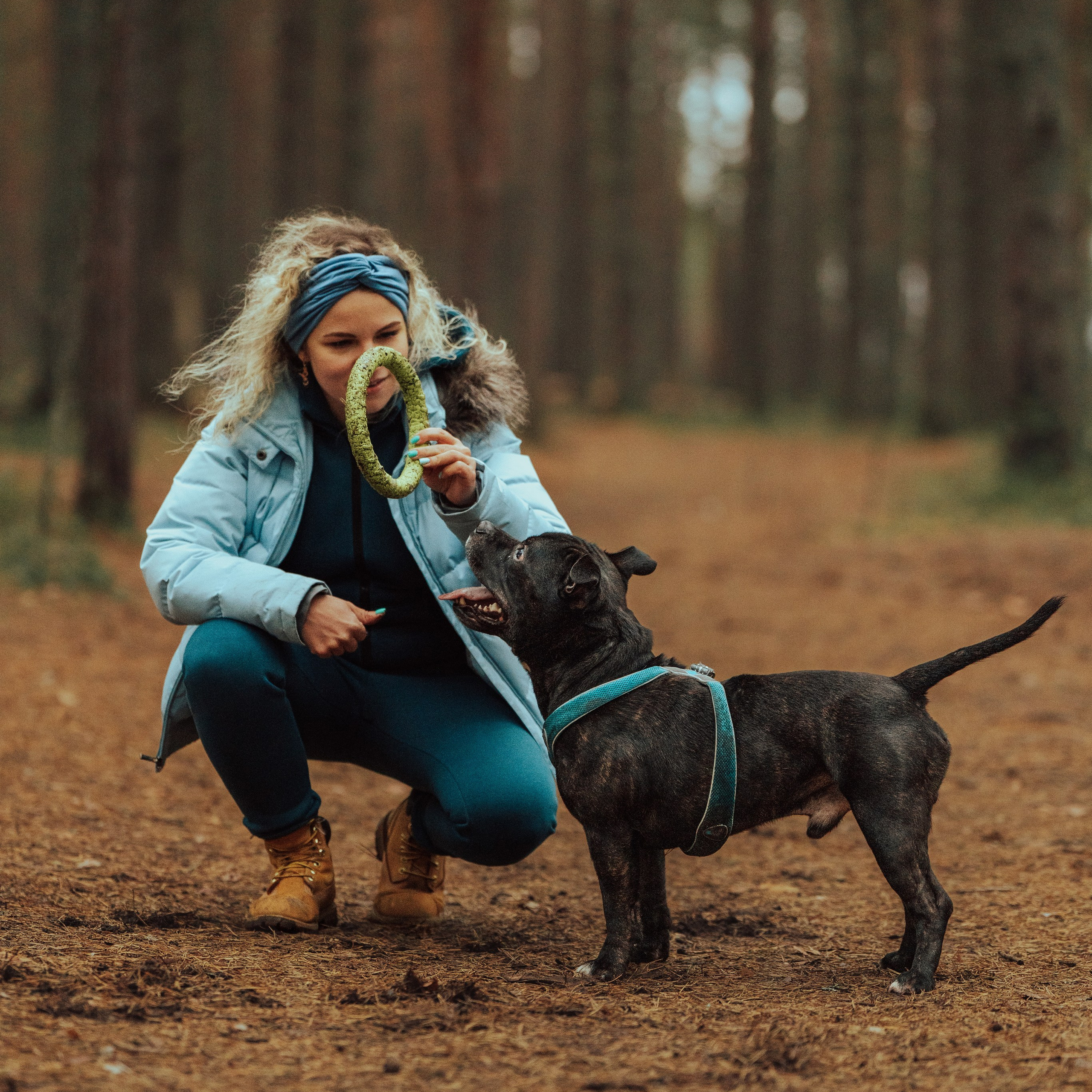 Отзывы о работе фотографа анималиста Спб. Фотограф анималист в Спб недорого Олеся Майорова