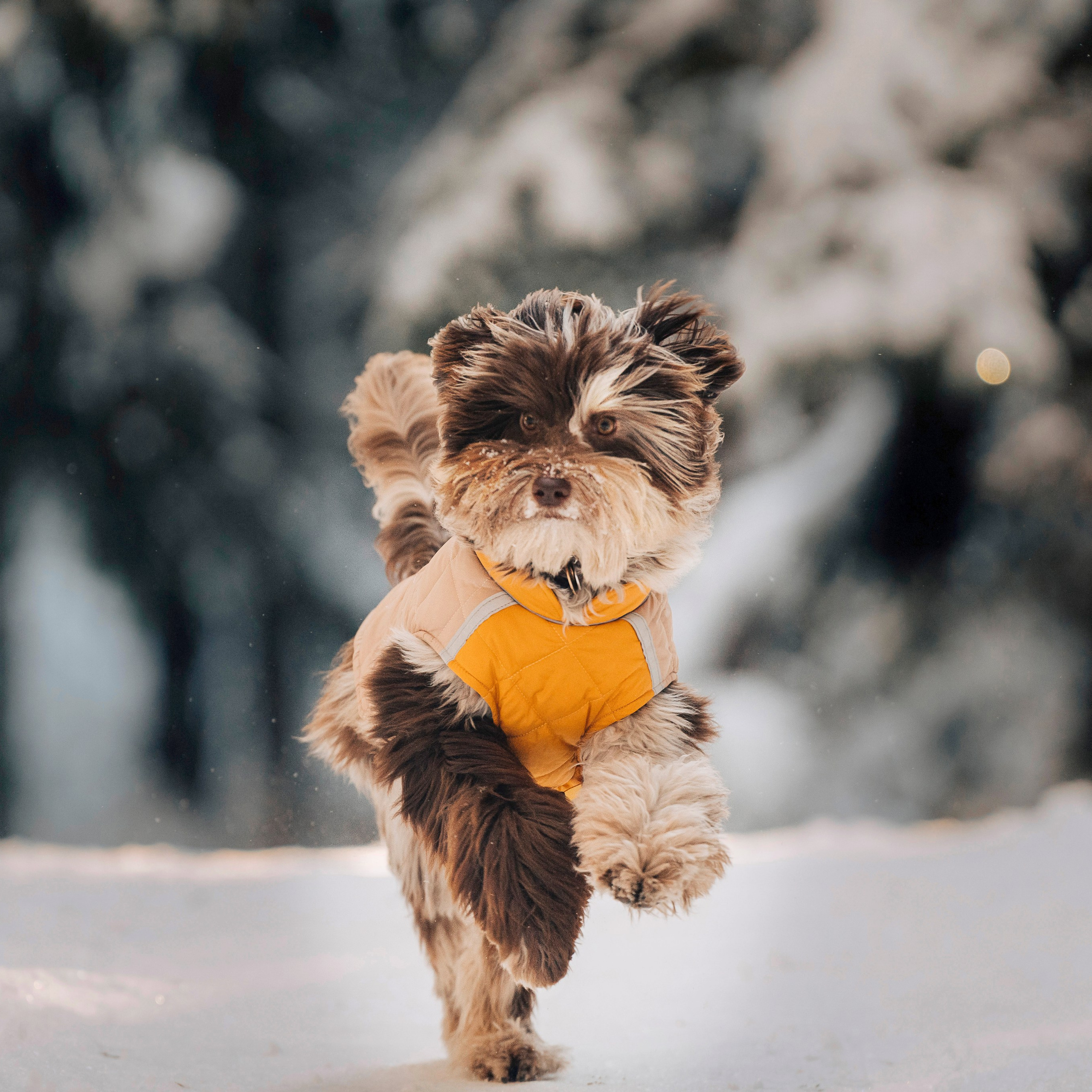 Хэйзел и её семья