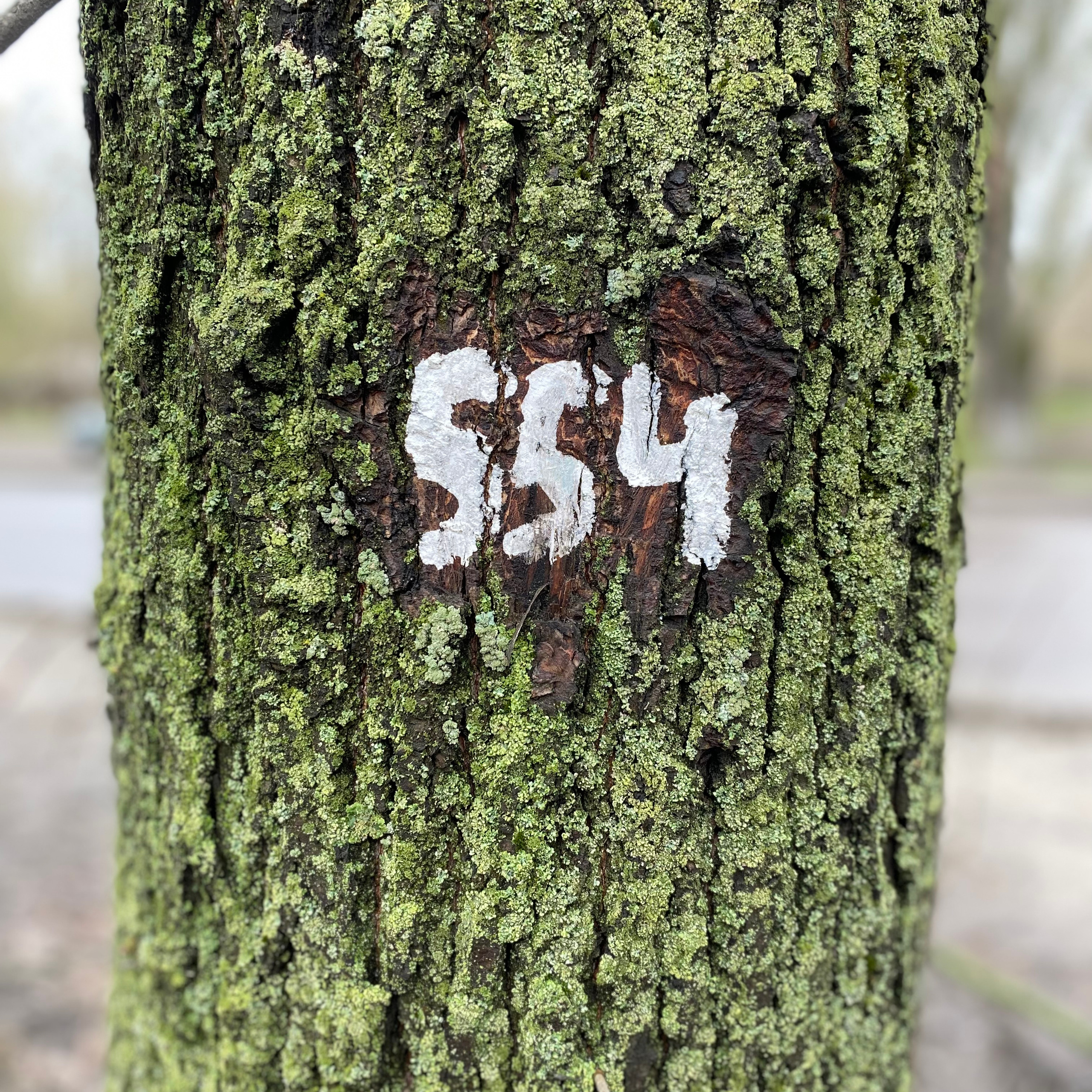 Отзывы. Диана Тимиряева | Фотограф в Воронеже