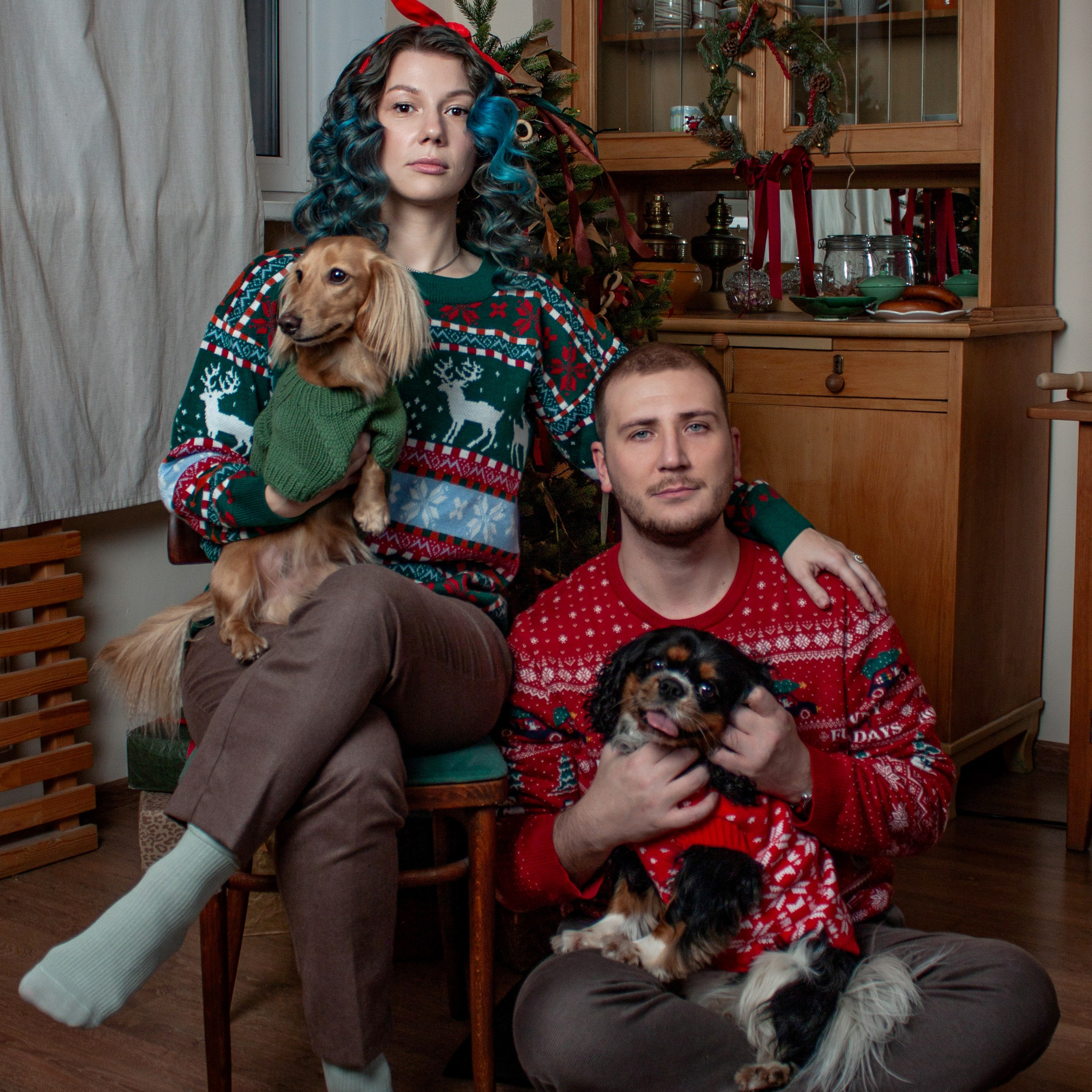 Новогодние собаки